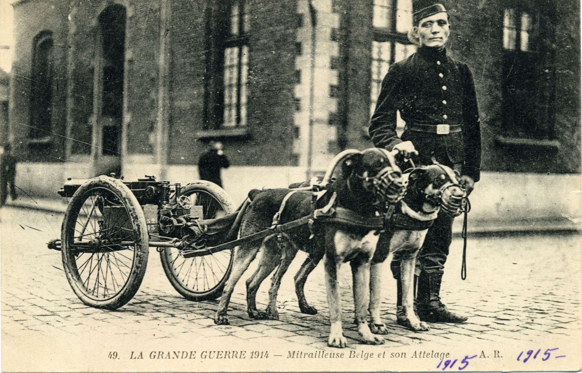 Mitrailleuse belge et son attelage