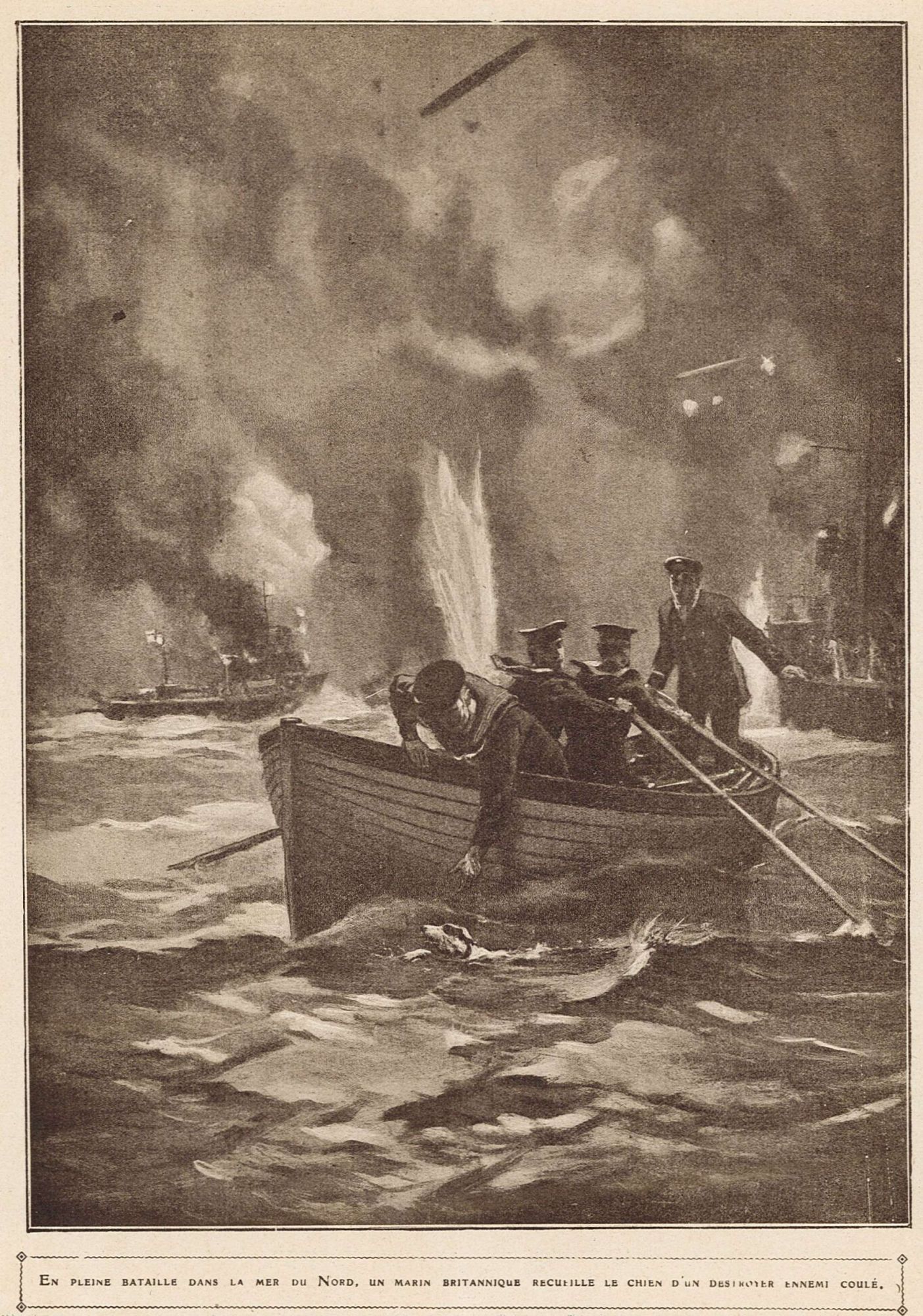 Un chien à la mer !