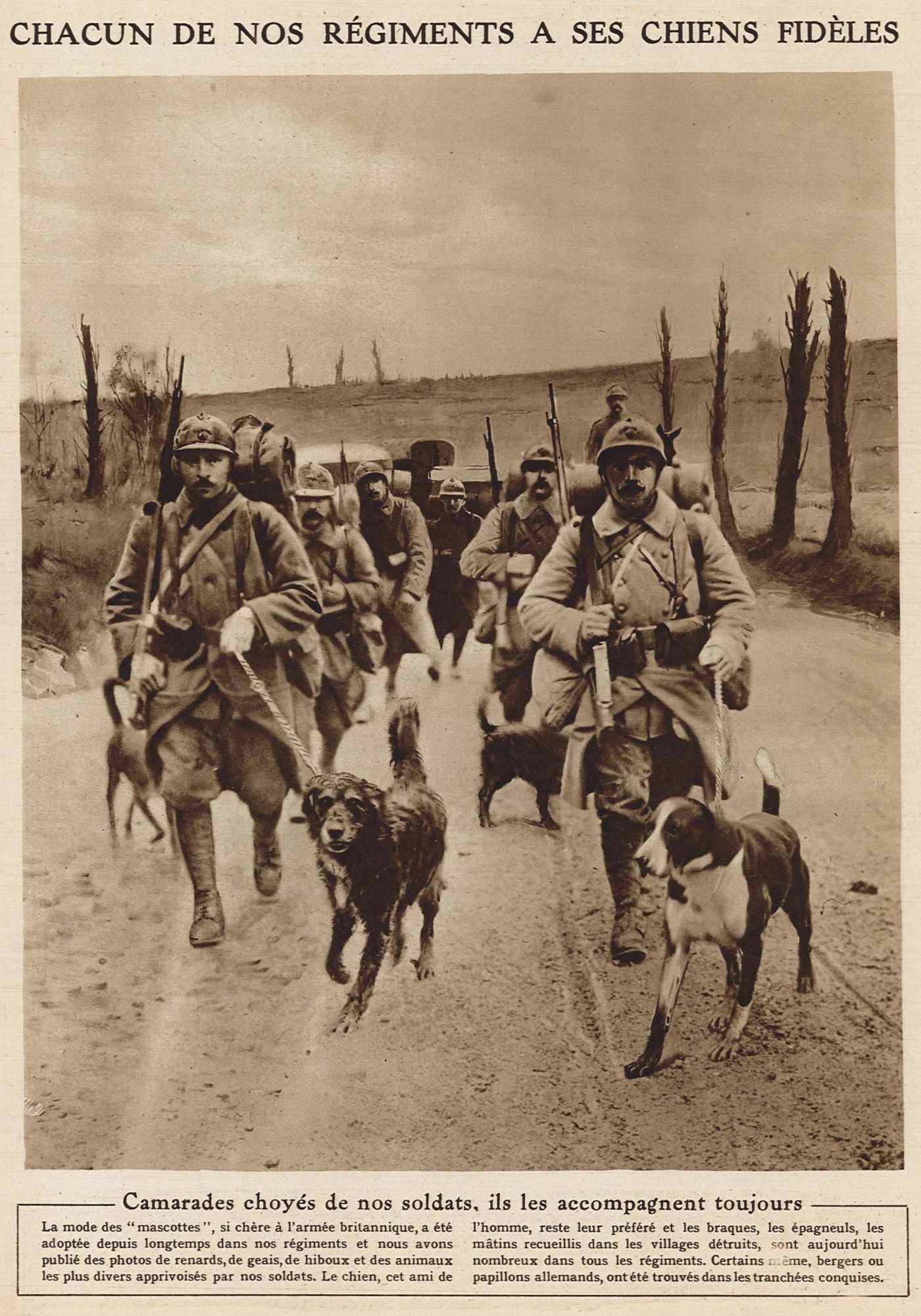 Des camarades choyés