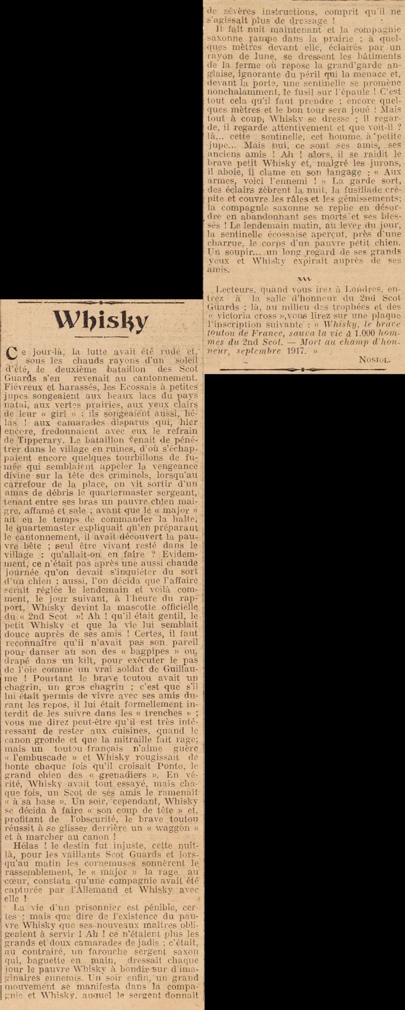 Whisky, mort au champ d'honneur