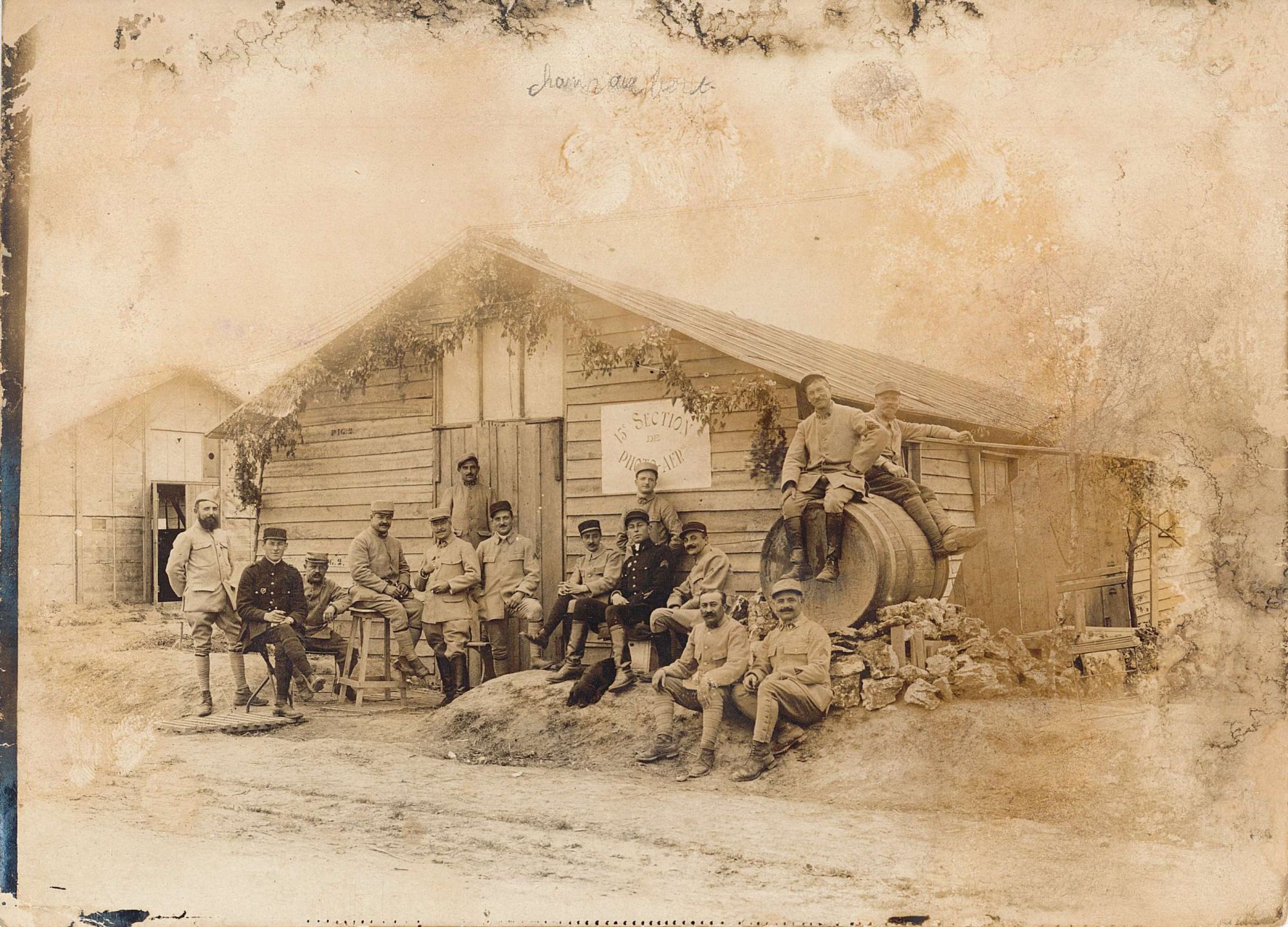 Un chien dans l'aviation