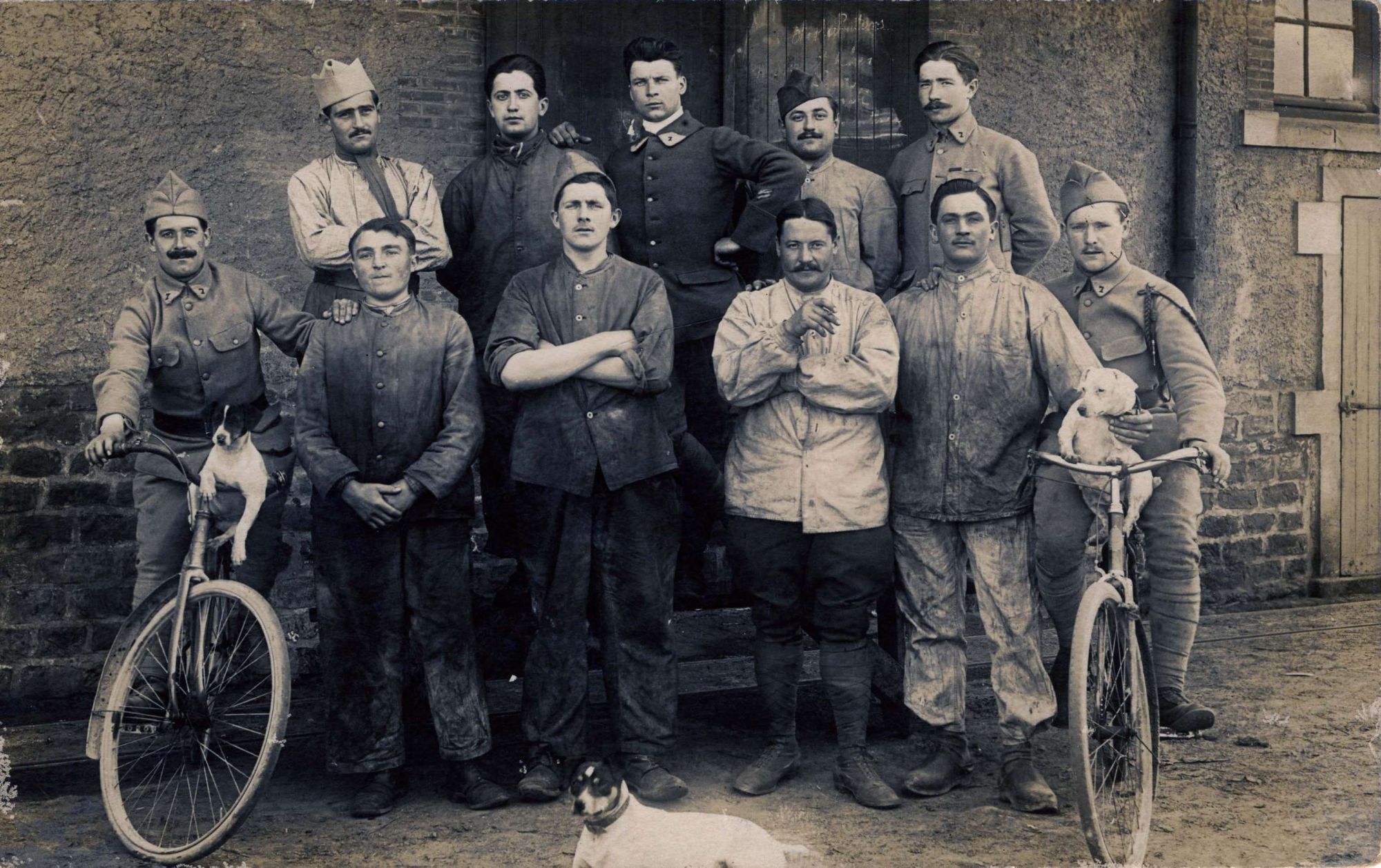 Les chiens de la boulange