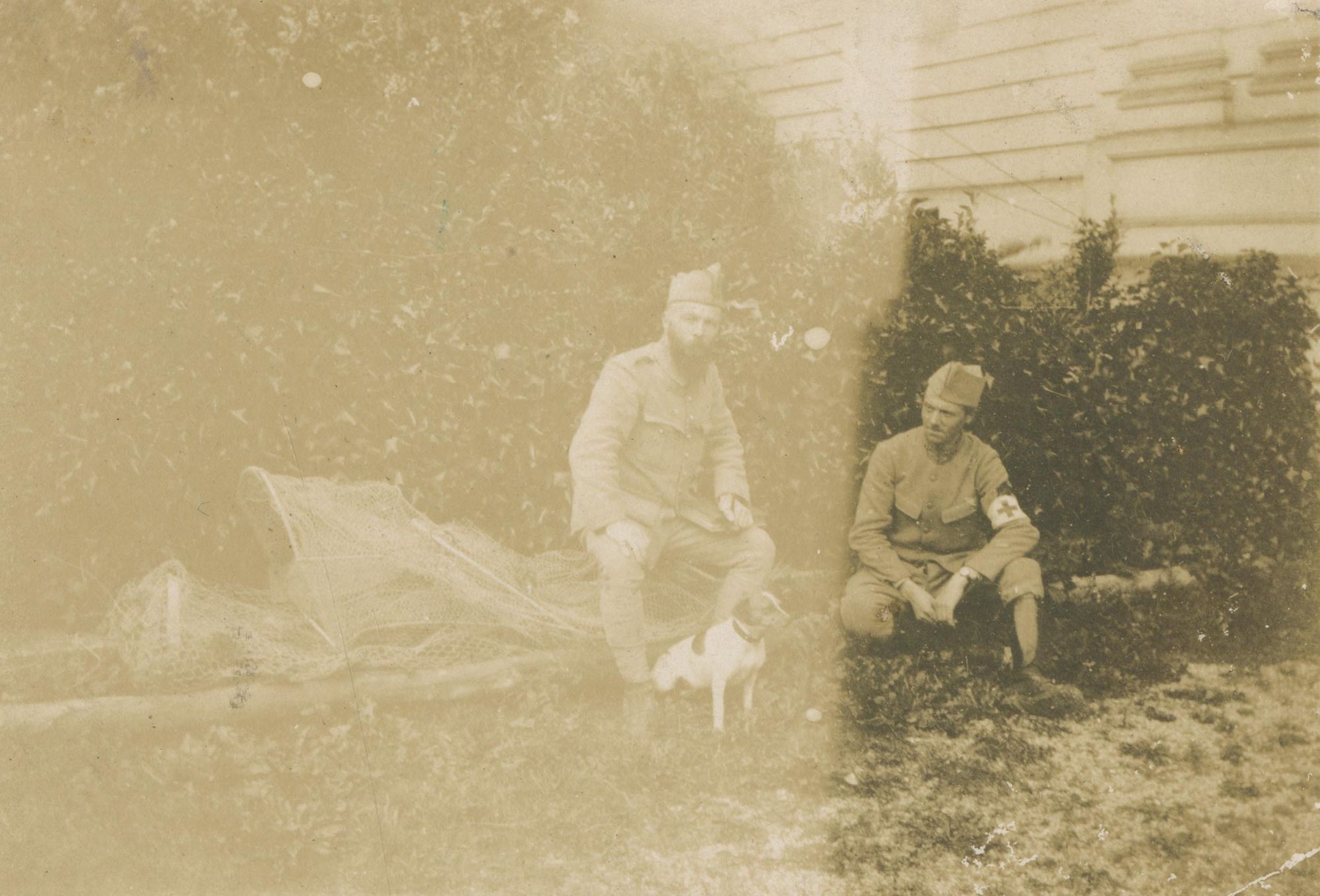 Le chien et les infirmiers