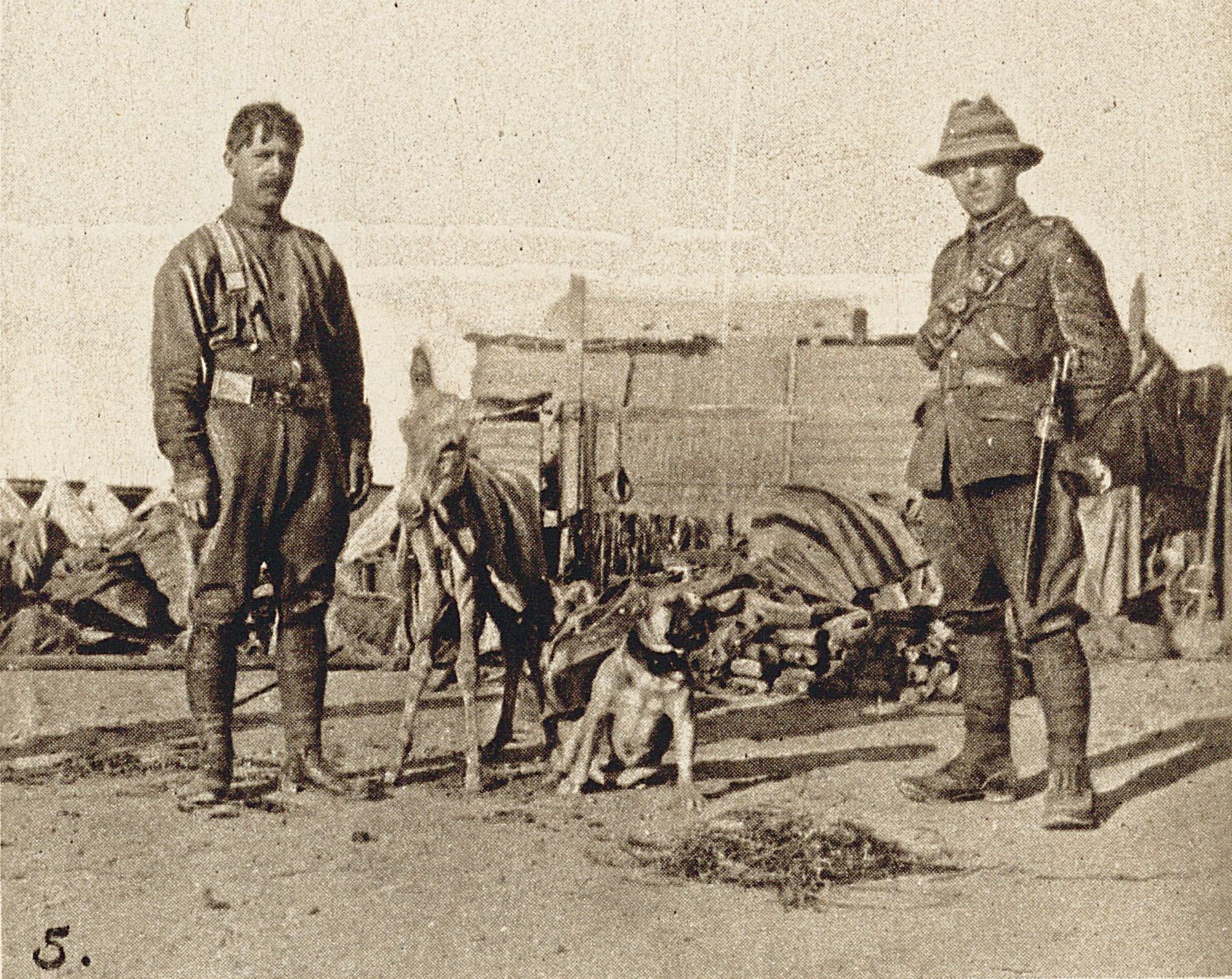 Néo-Zélandais et leurs mascottes