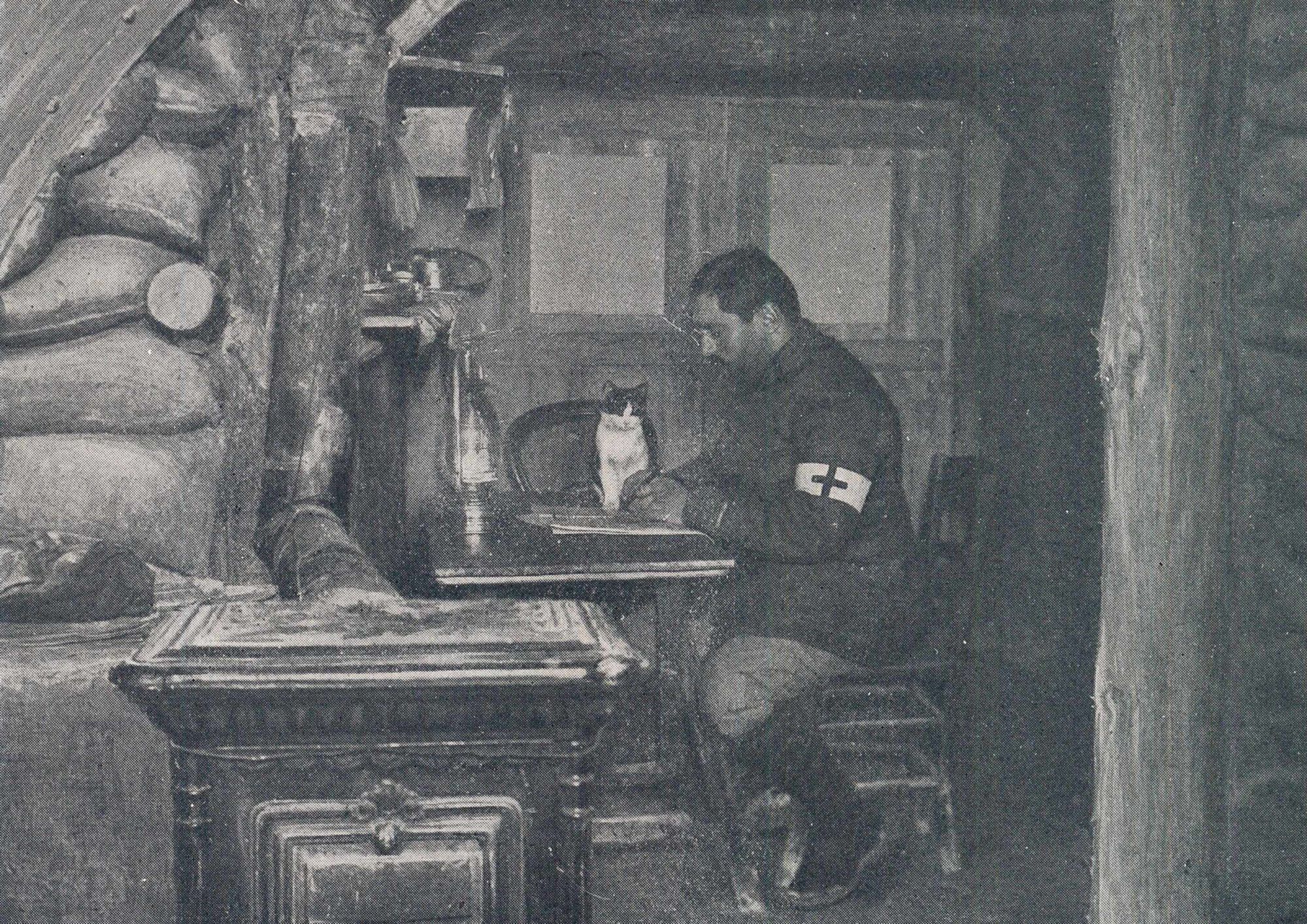 Le chat du relais d'ambulance