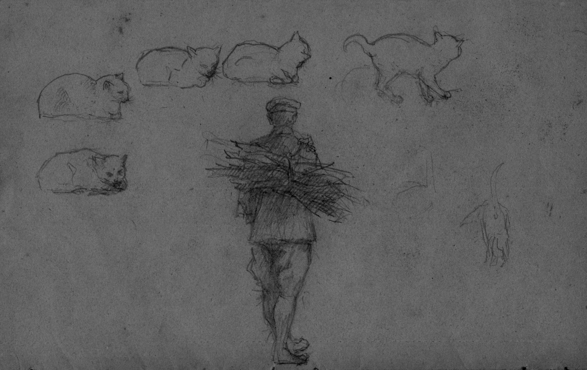 Les chats de Paul MARGUERITA