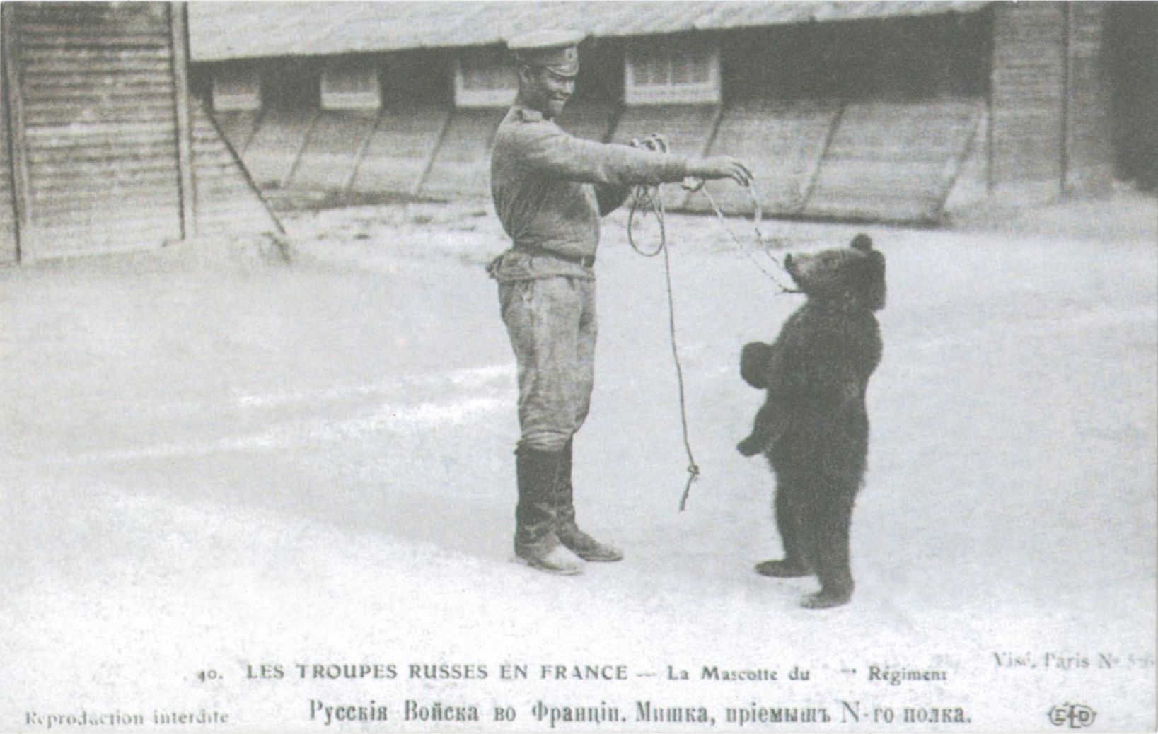 La mascotte du régiment