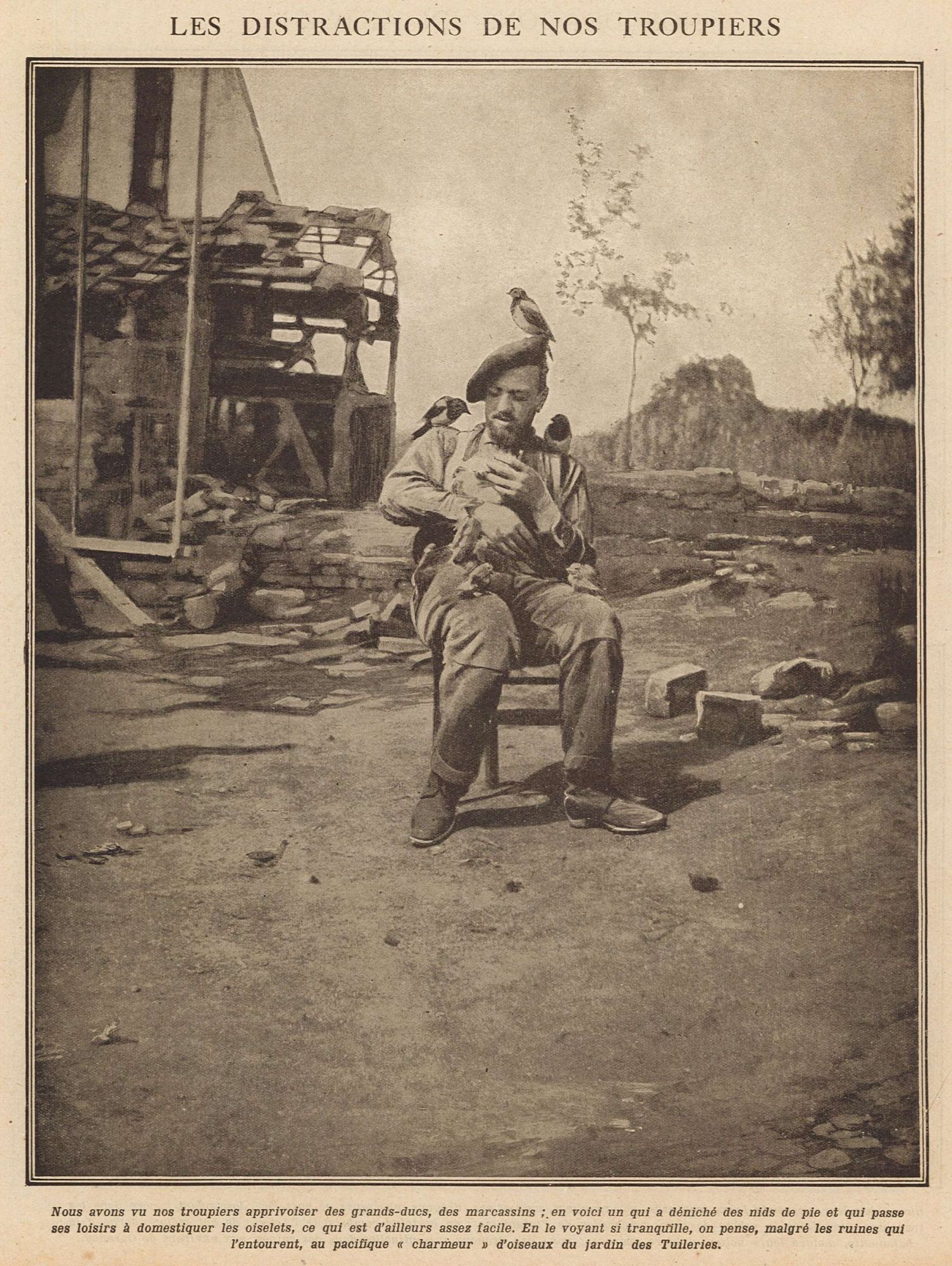 Le troupier et les pies