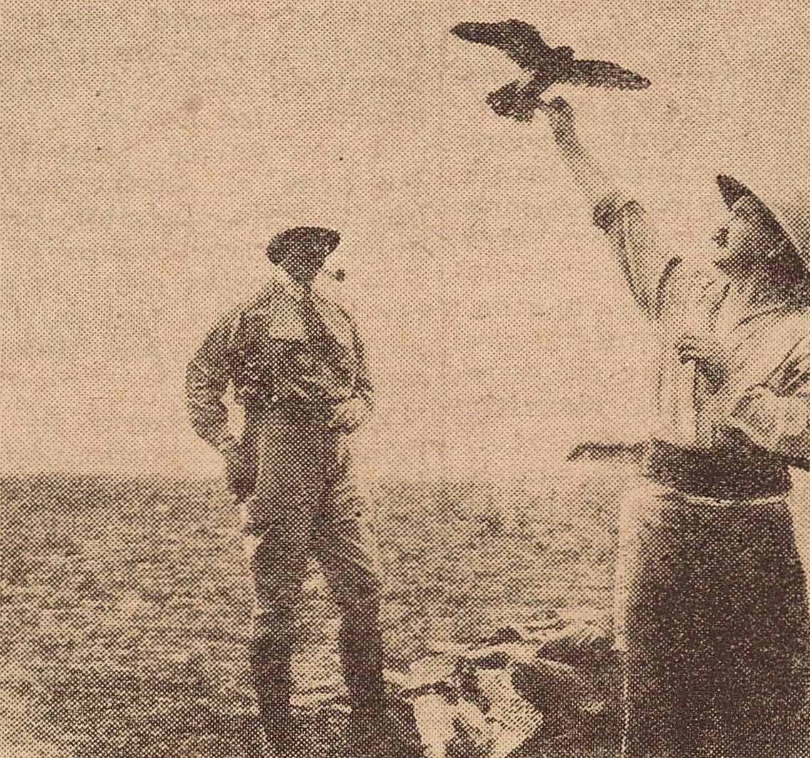 Montagne de Serbie, dressage d'un faucon