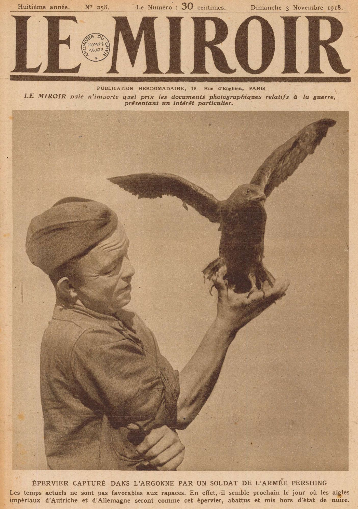 Un épervier capturé en Argonne