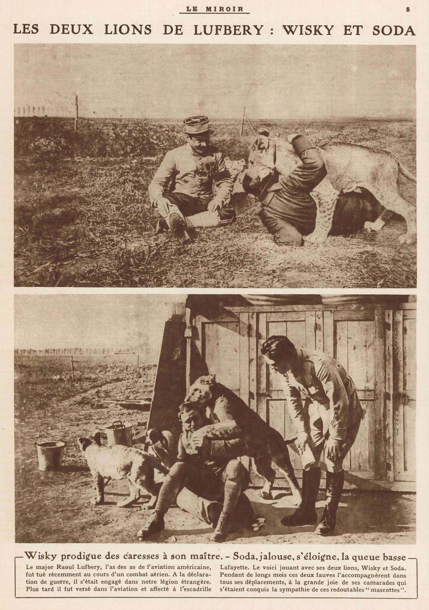 Les deux lions de Lufbery