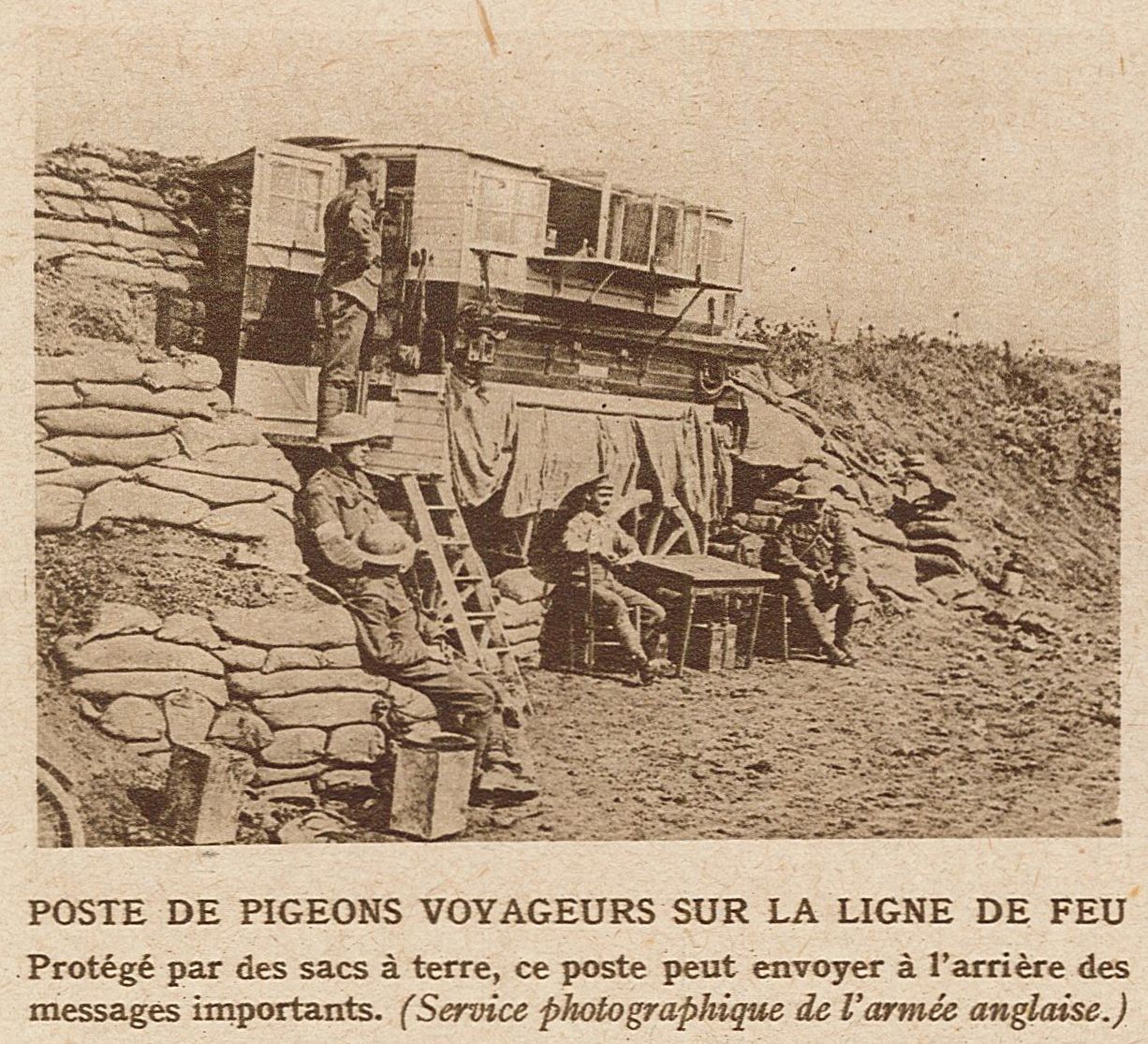 Poste de pigeons voyageurs sur la ligne de feu