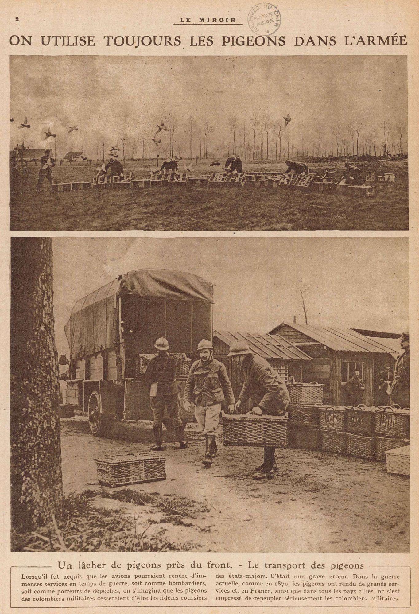 Un lâcher de pigeons près du front