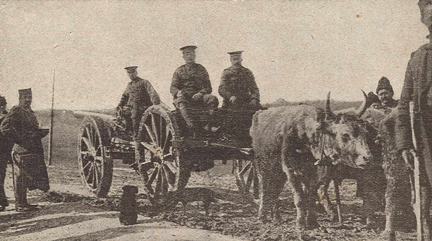 Un attelage d'artillerie britannique en Serbie