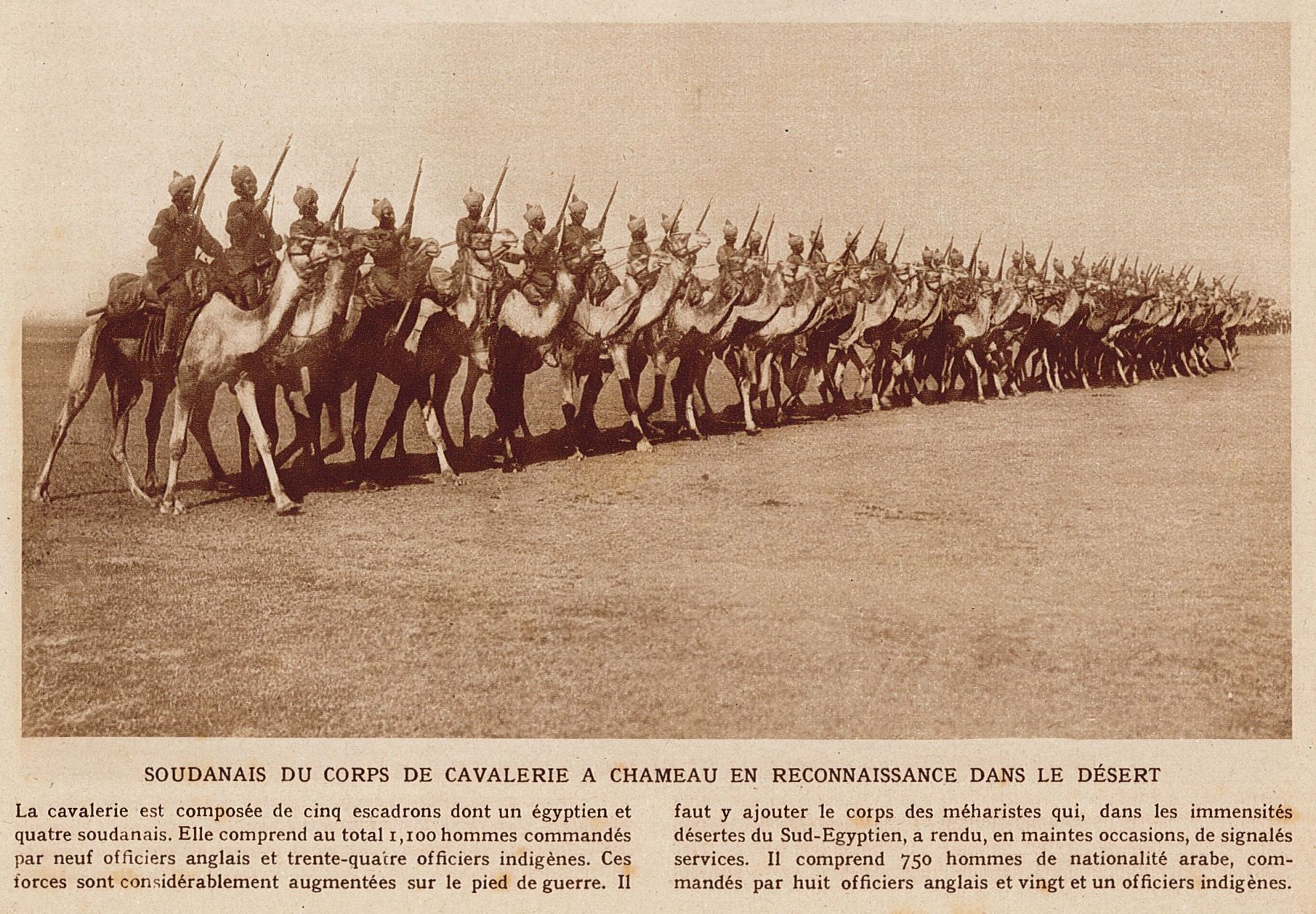 Soudanais du corps de cavalerie à chameau