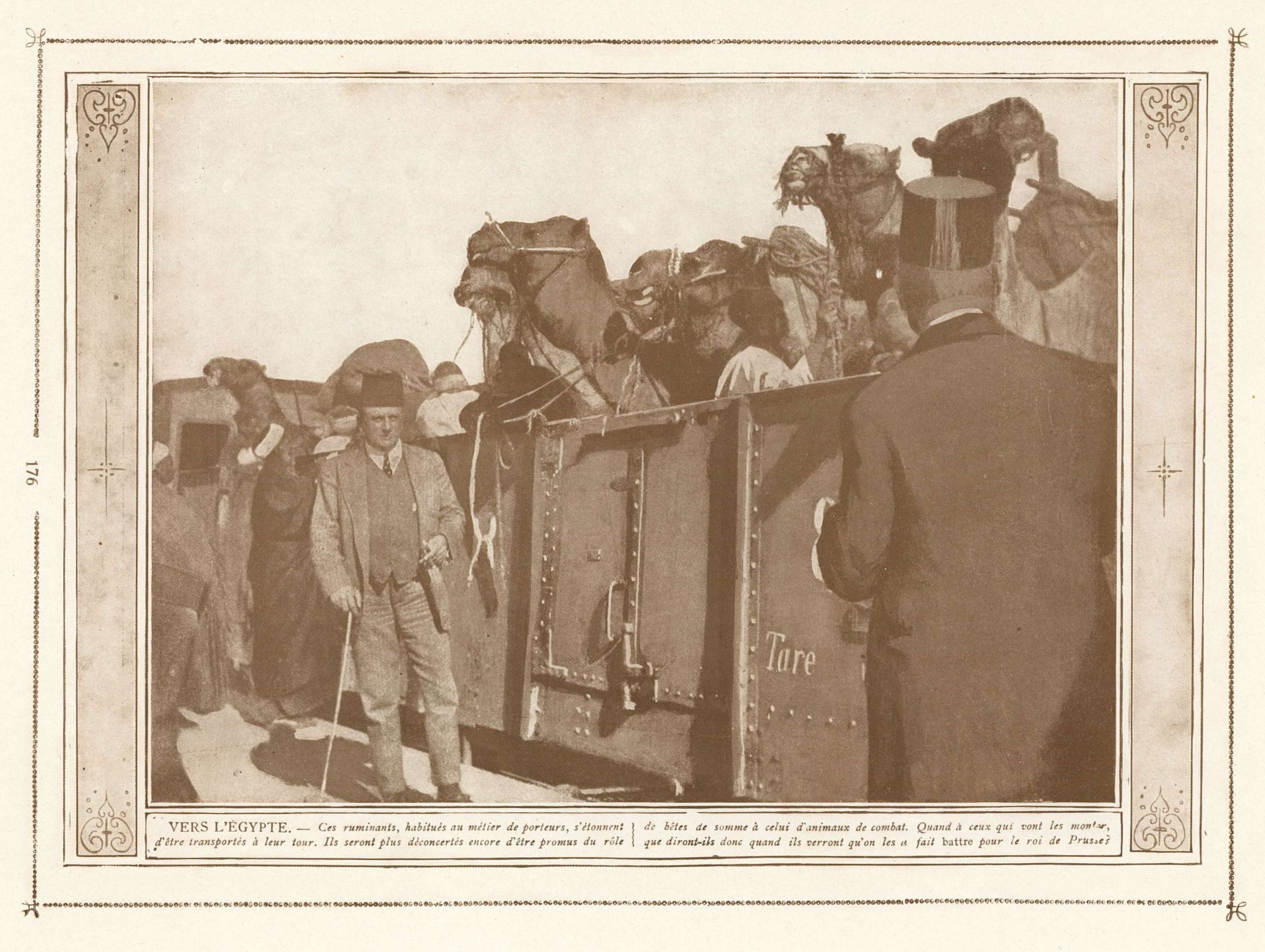 Des chameaux pour le roi de Prusse