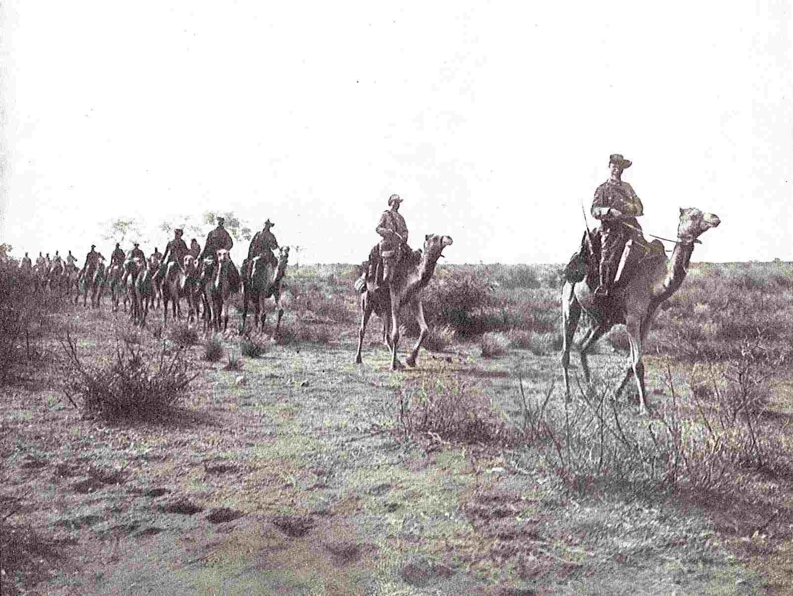 Dans le Sud-Ouest africain allemand