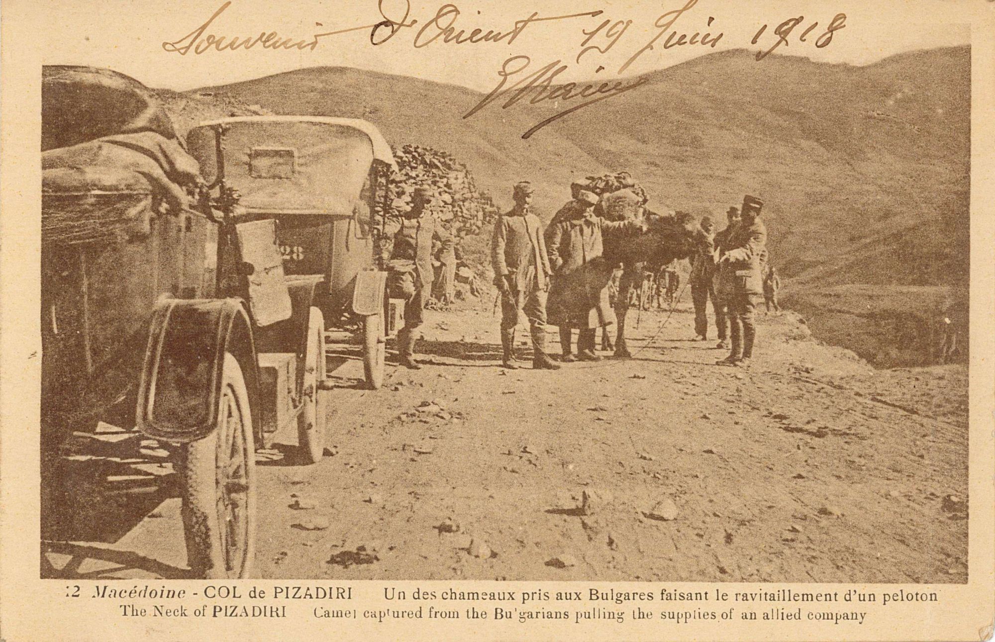 Chameau pris aux Bulgares