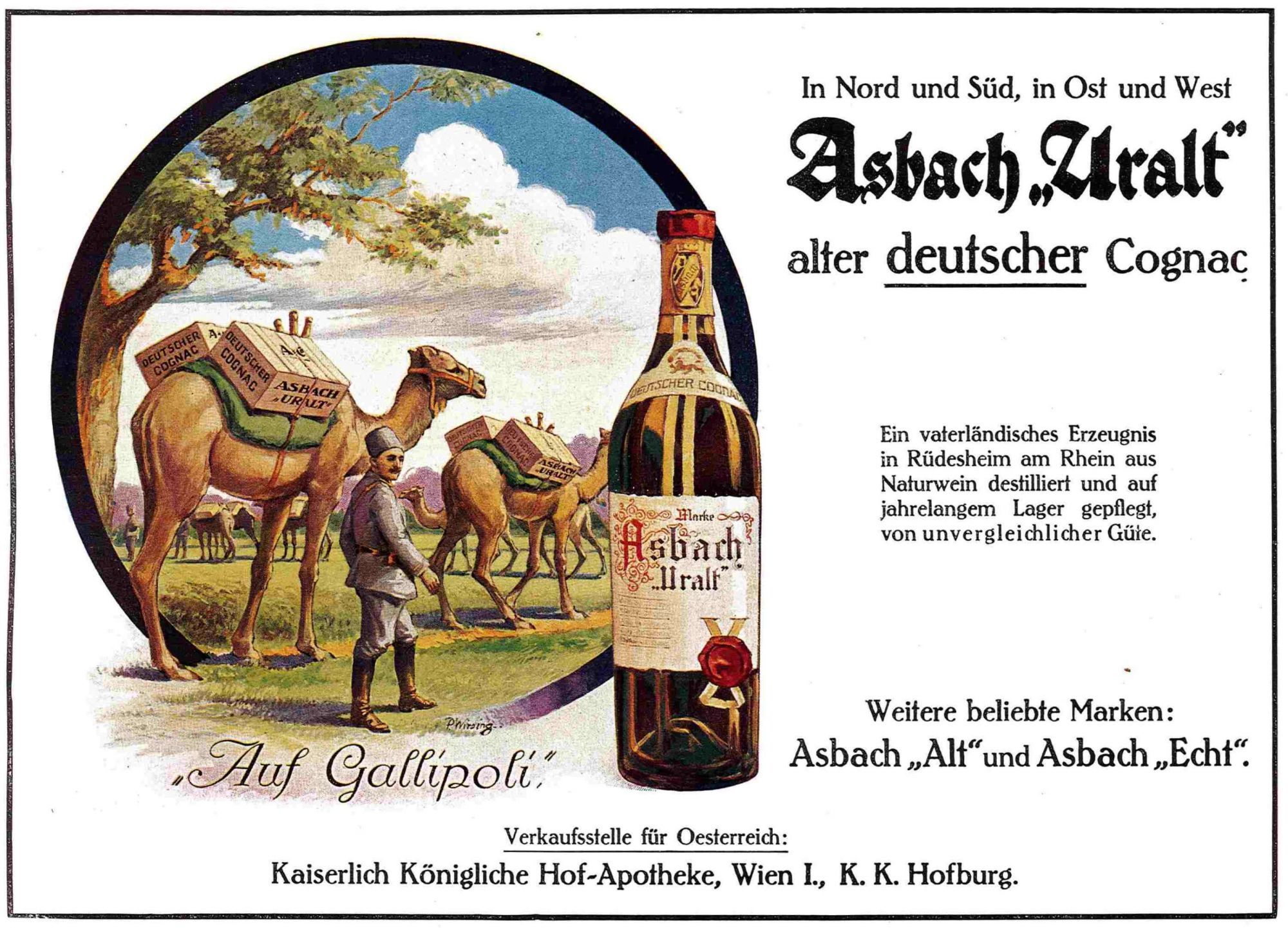 Cognac allemand et chameaux