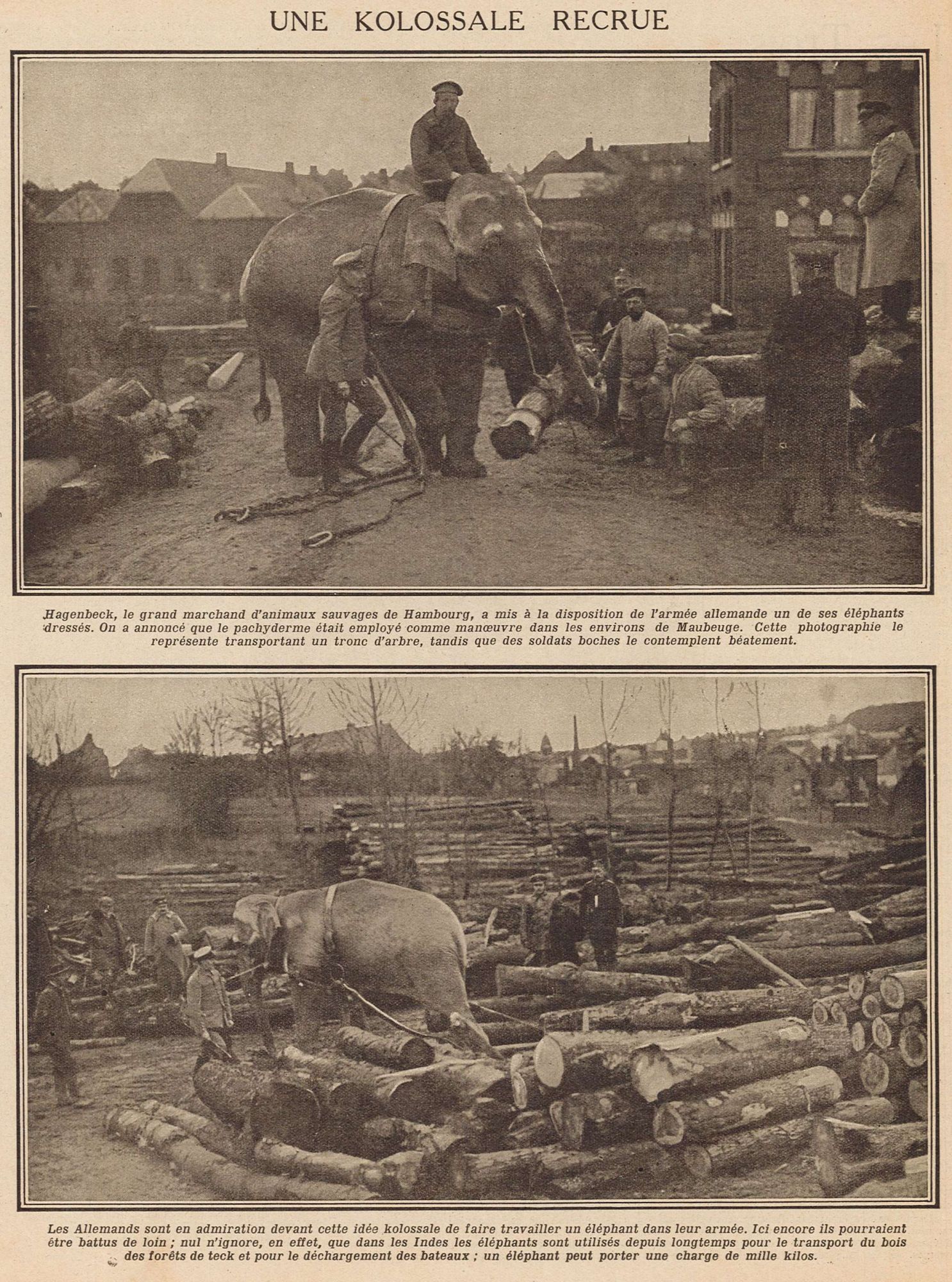 Une kolossale recrue