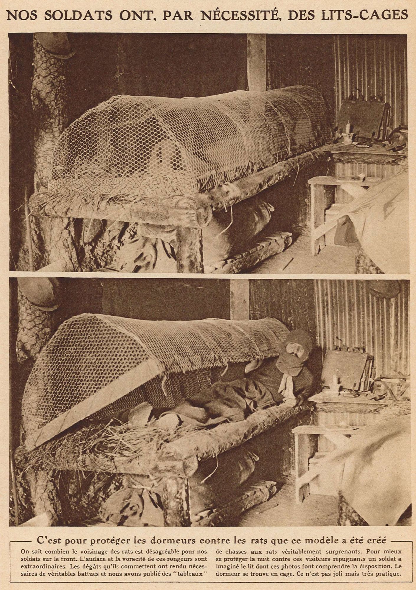 Des lits-cages pour se protéger