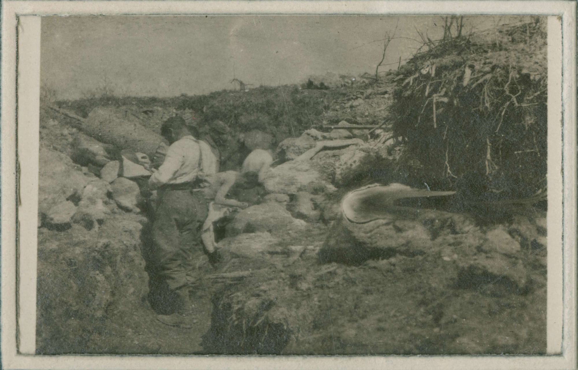 Chasse à la vermine