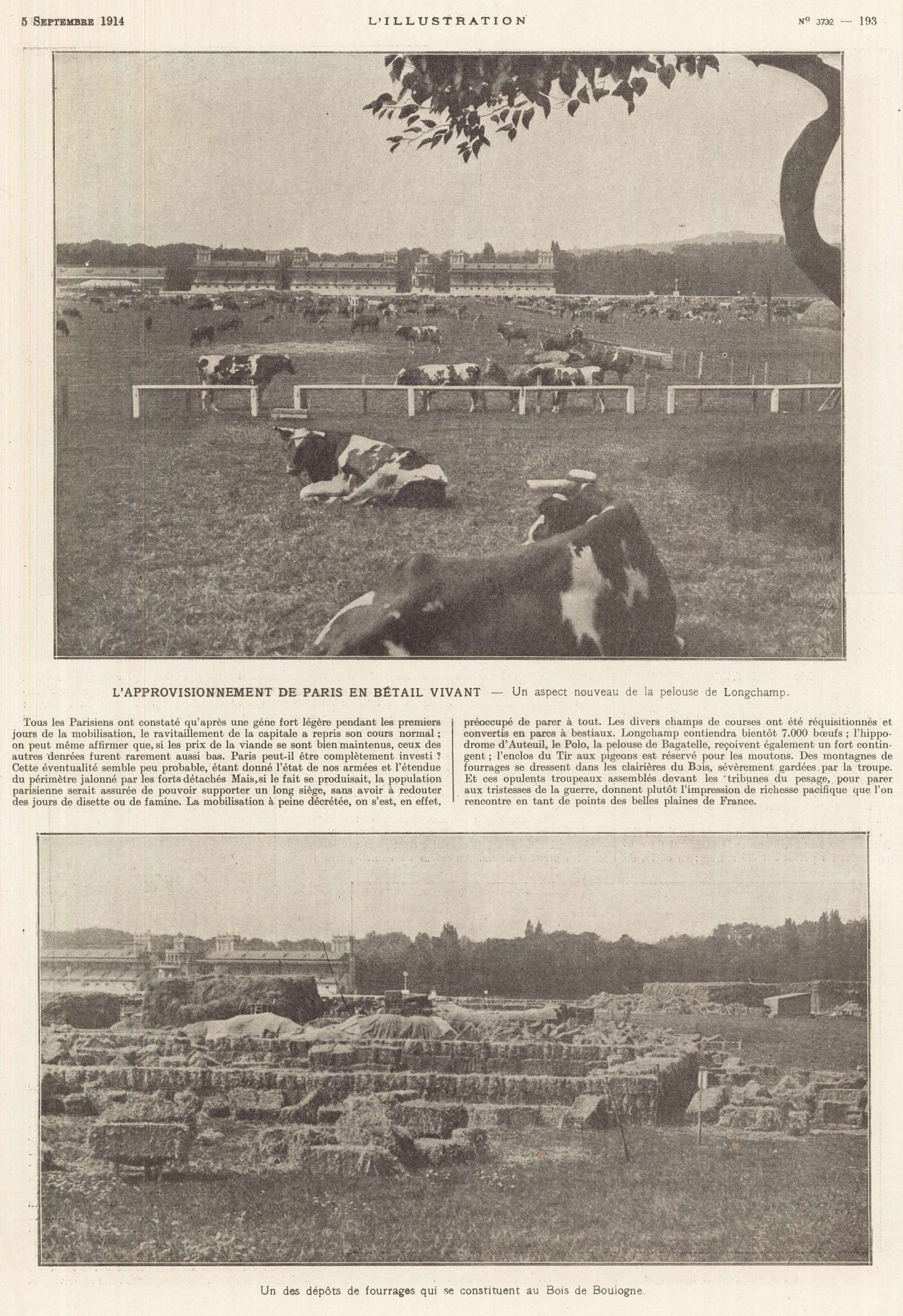 L'approvisionnement de Paris en bétail vivant