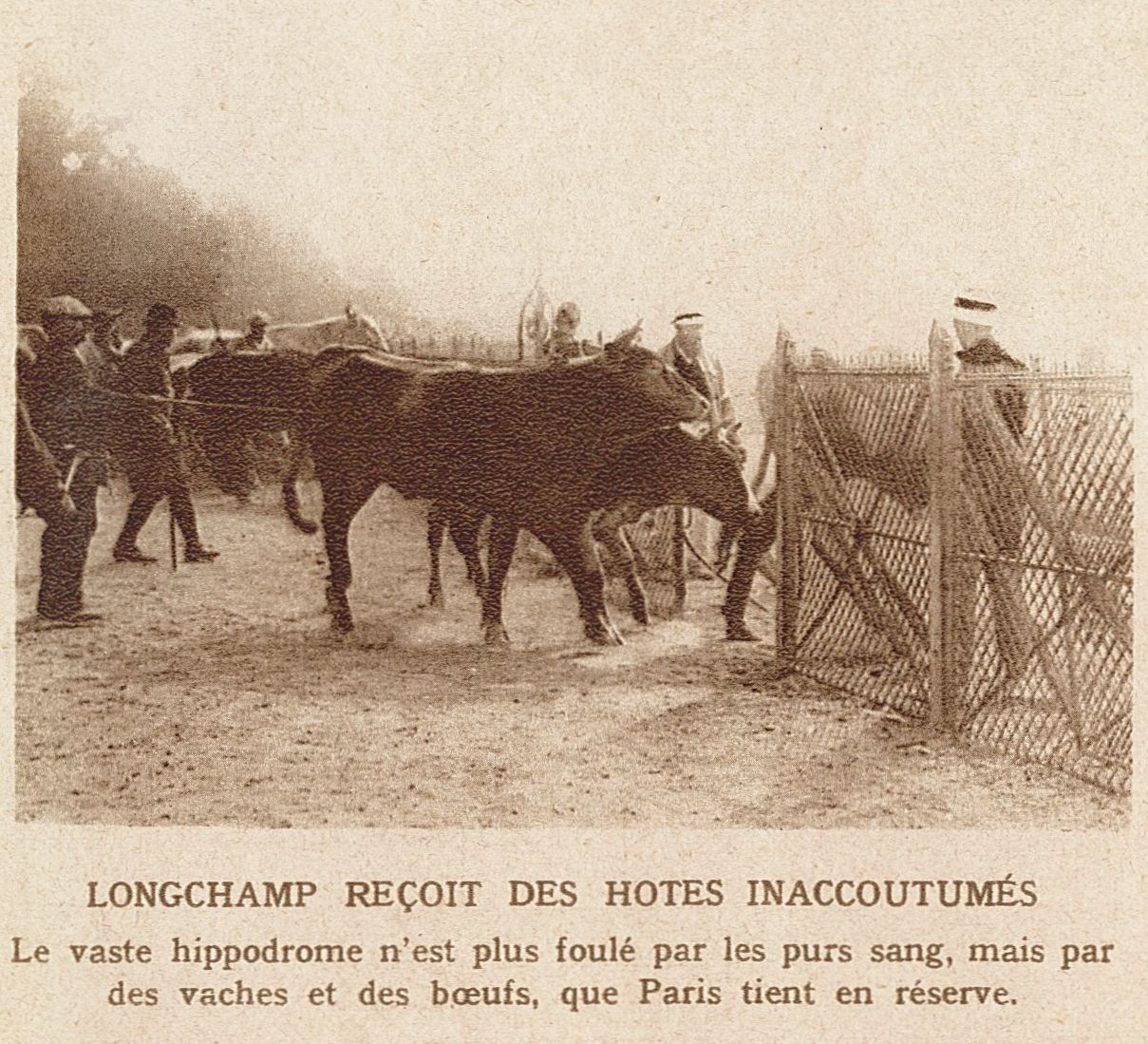 Longchamp reçoit des hôtes inaccoutumés