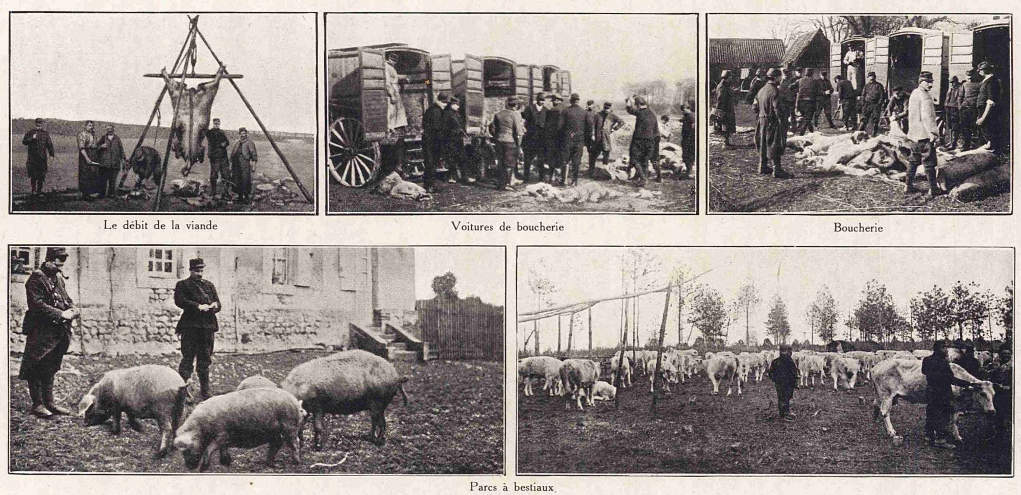 De la viande pour le front