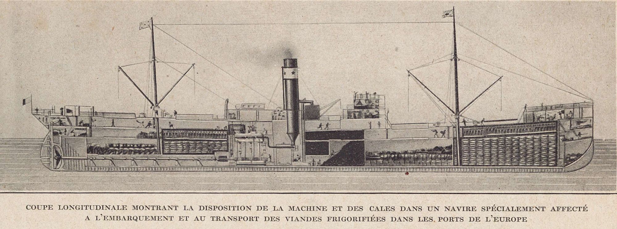 Navire de transport des viandes frigorifiées