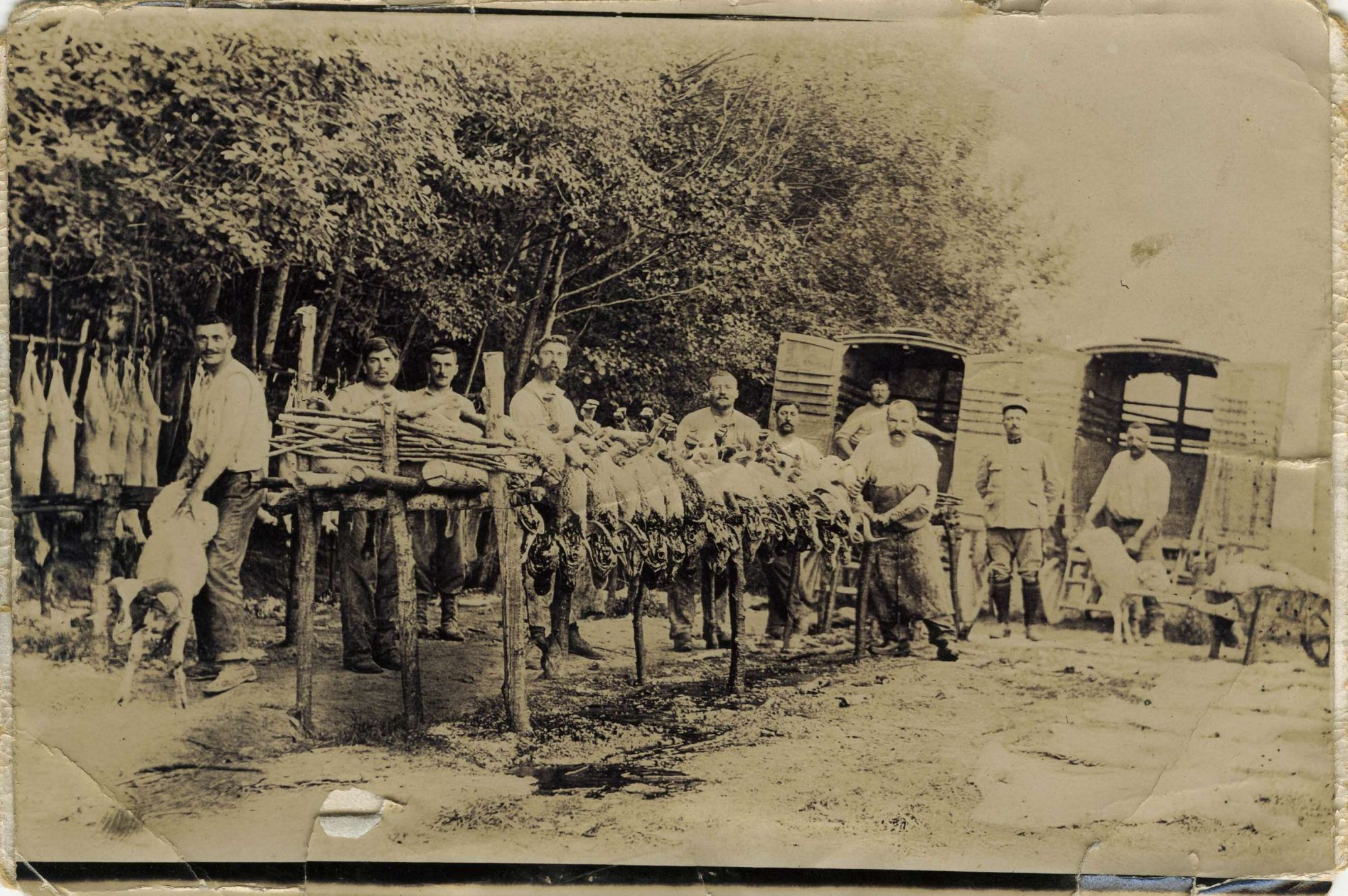 Boucherie sur le front