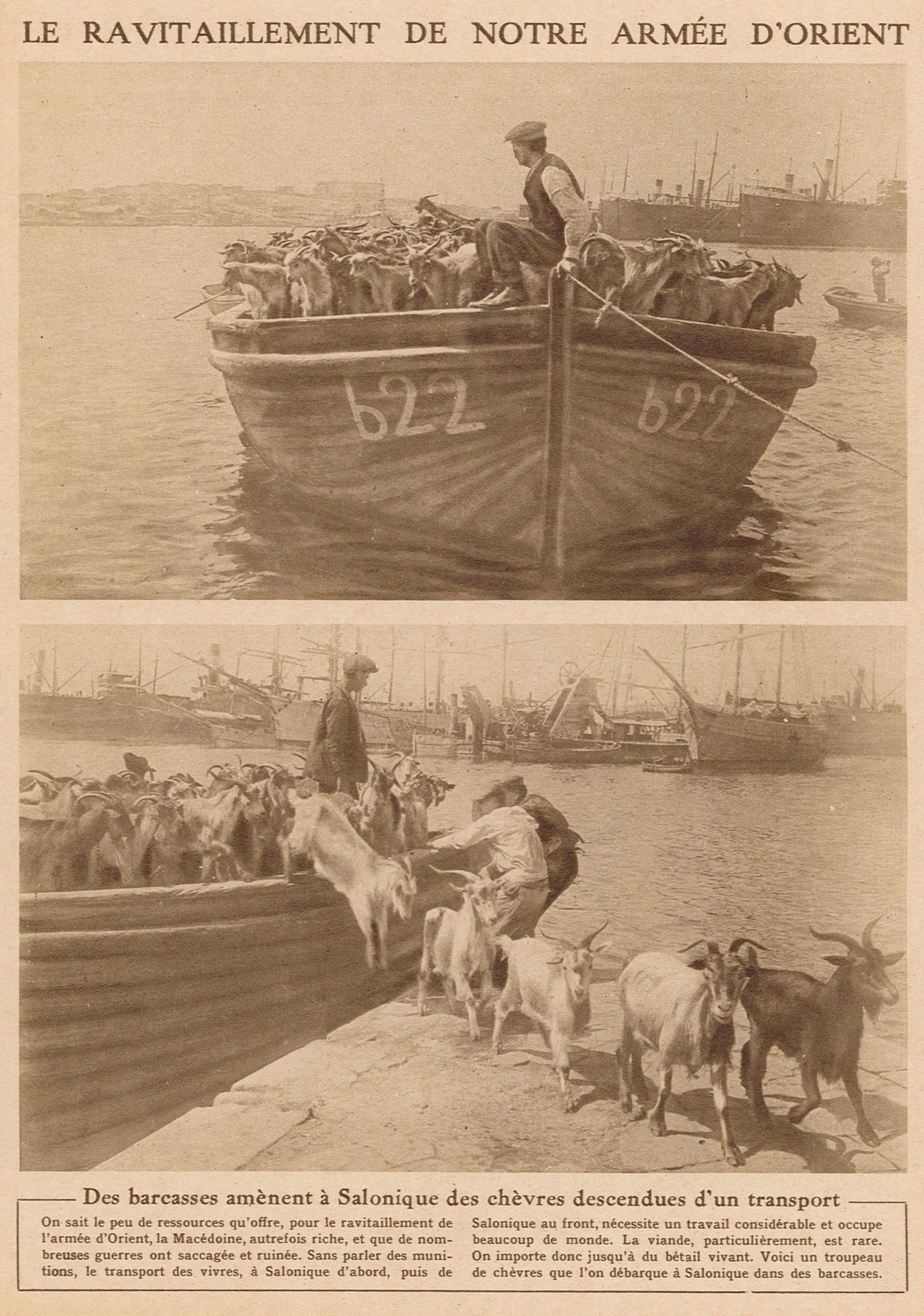 Le ravitaillement de notre armée d'Orient