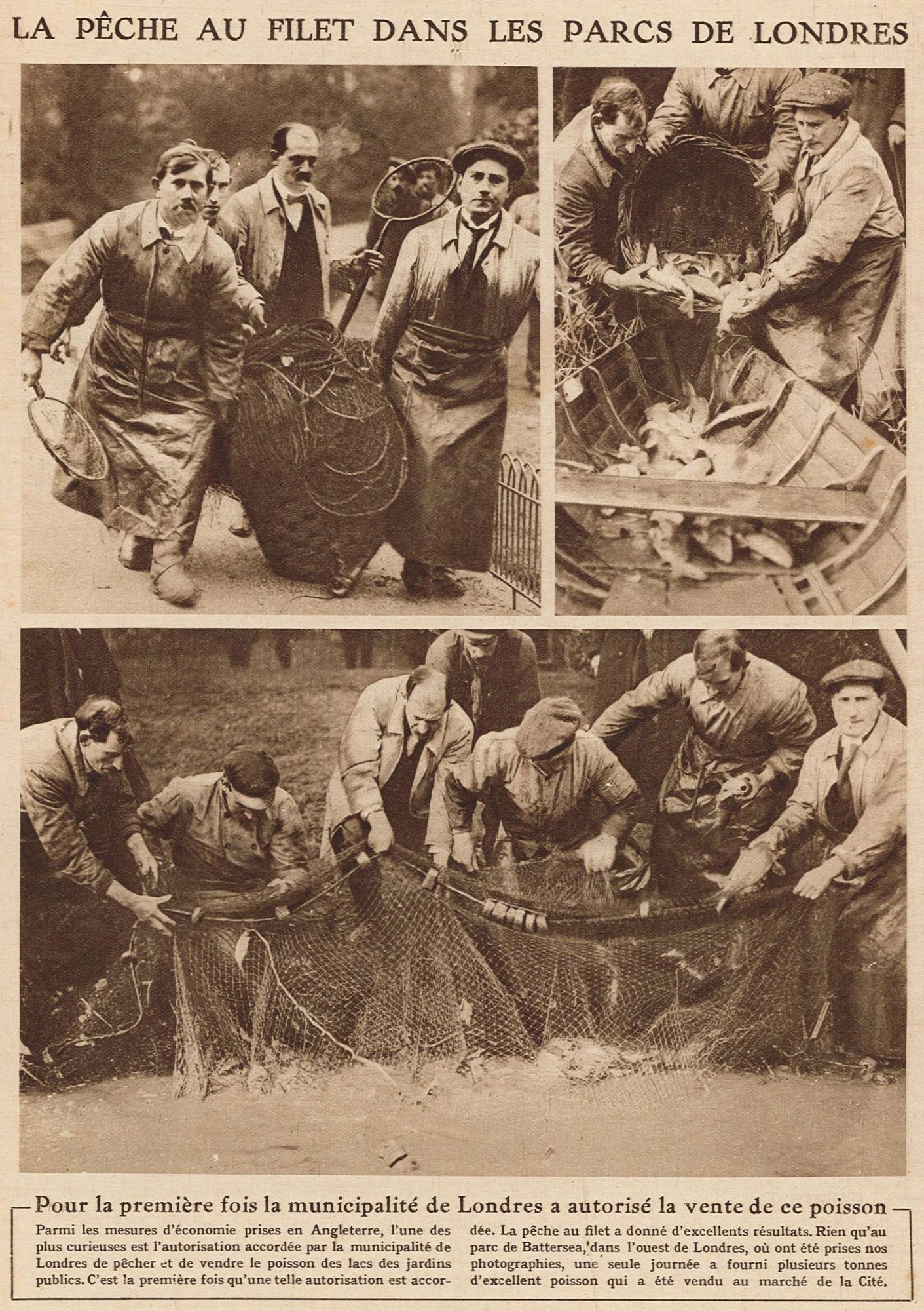 La pêche au filet dans les parcs de Londres