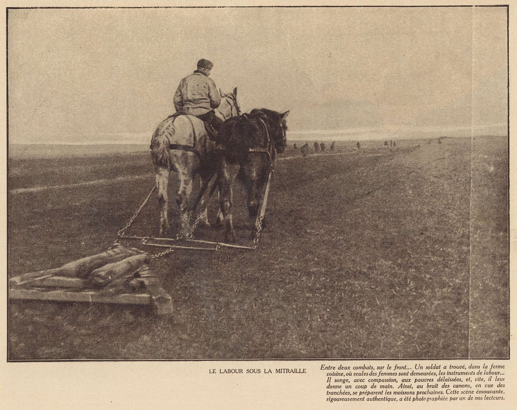 Le labour sous la mitraille