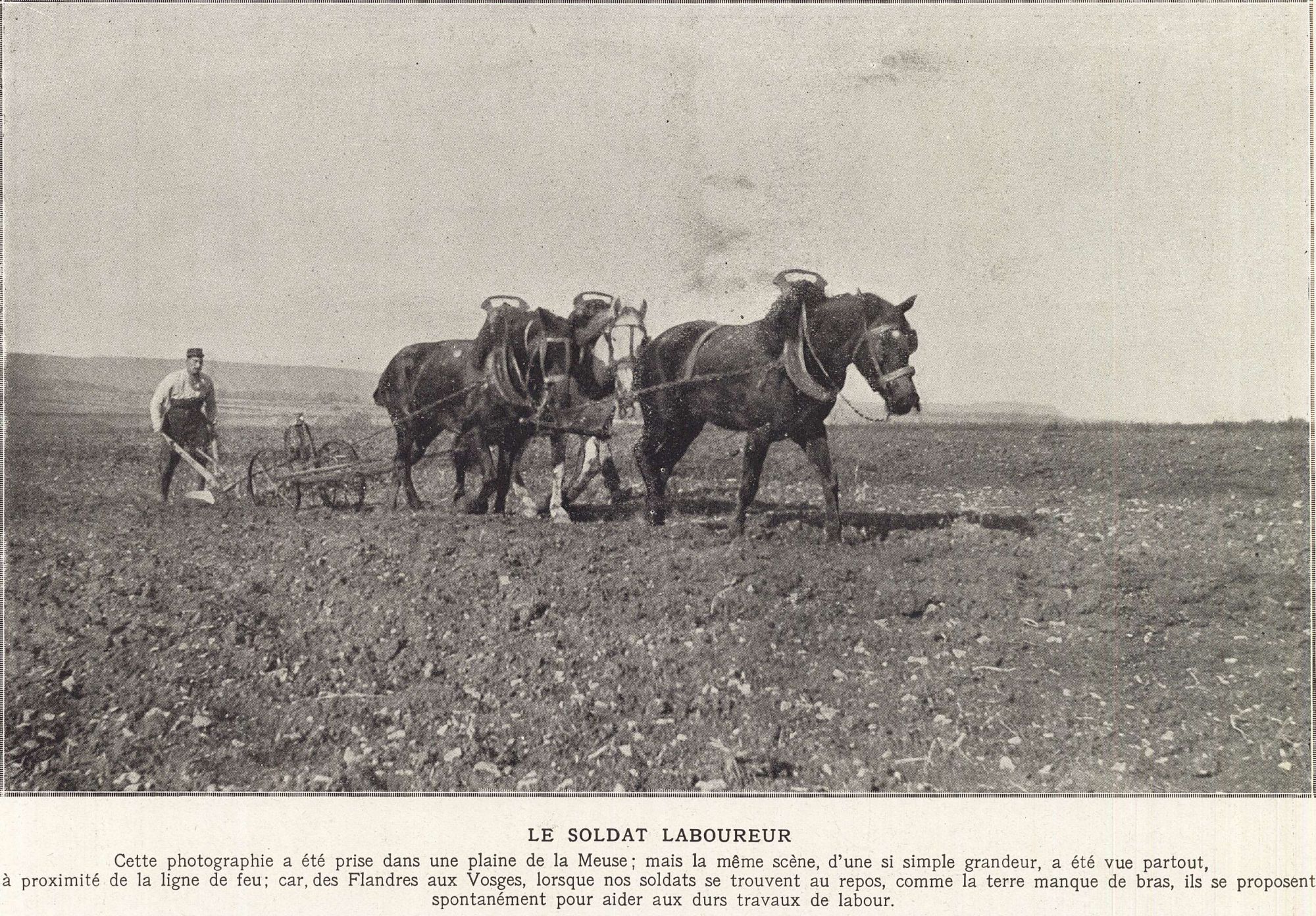 Le soldat laboureur