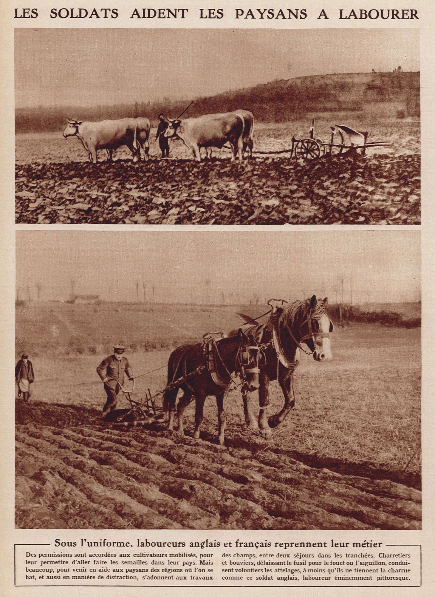 Les soldats aident les paysans à labourer