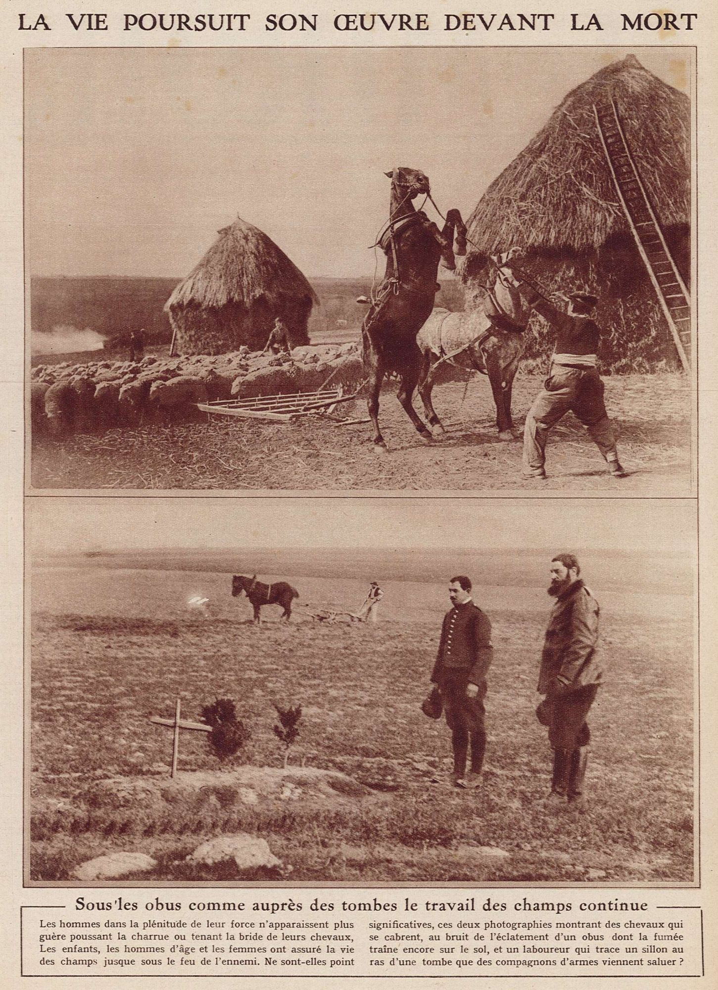 La vie poursuit son oeuvre devant la mort