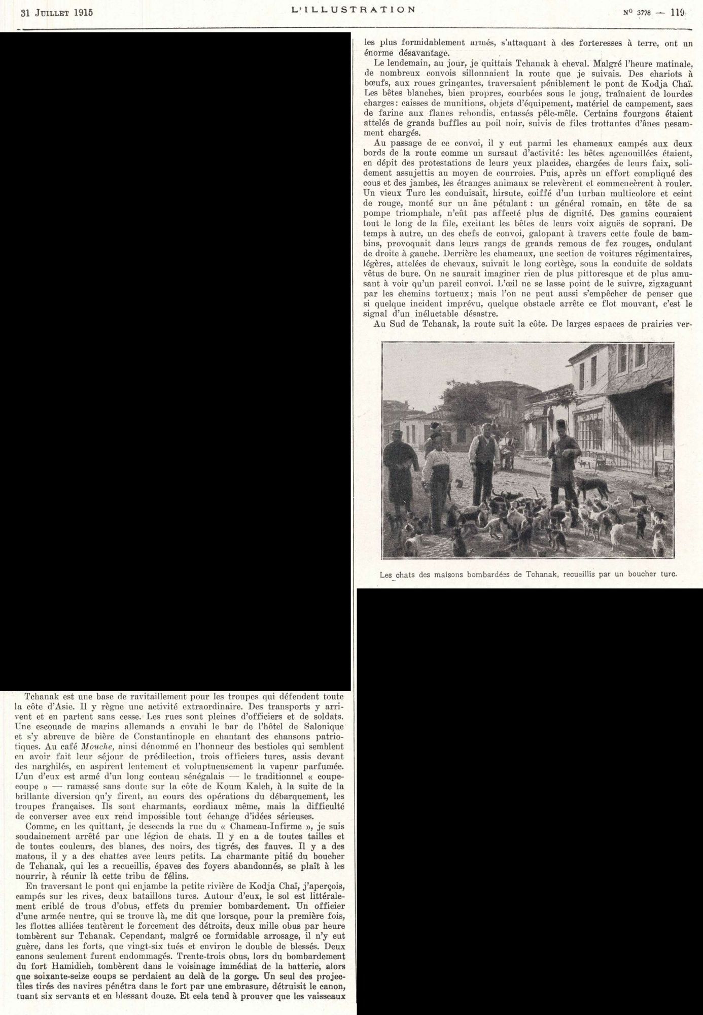 Les chats de Tchanak