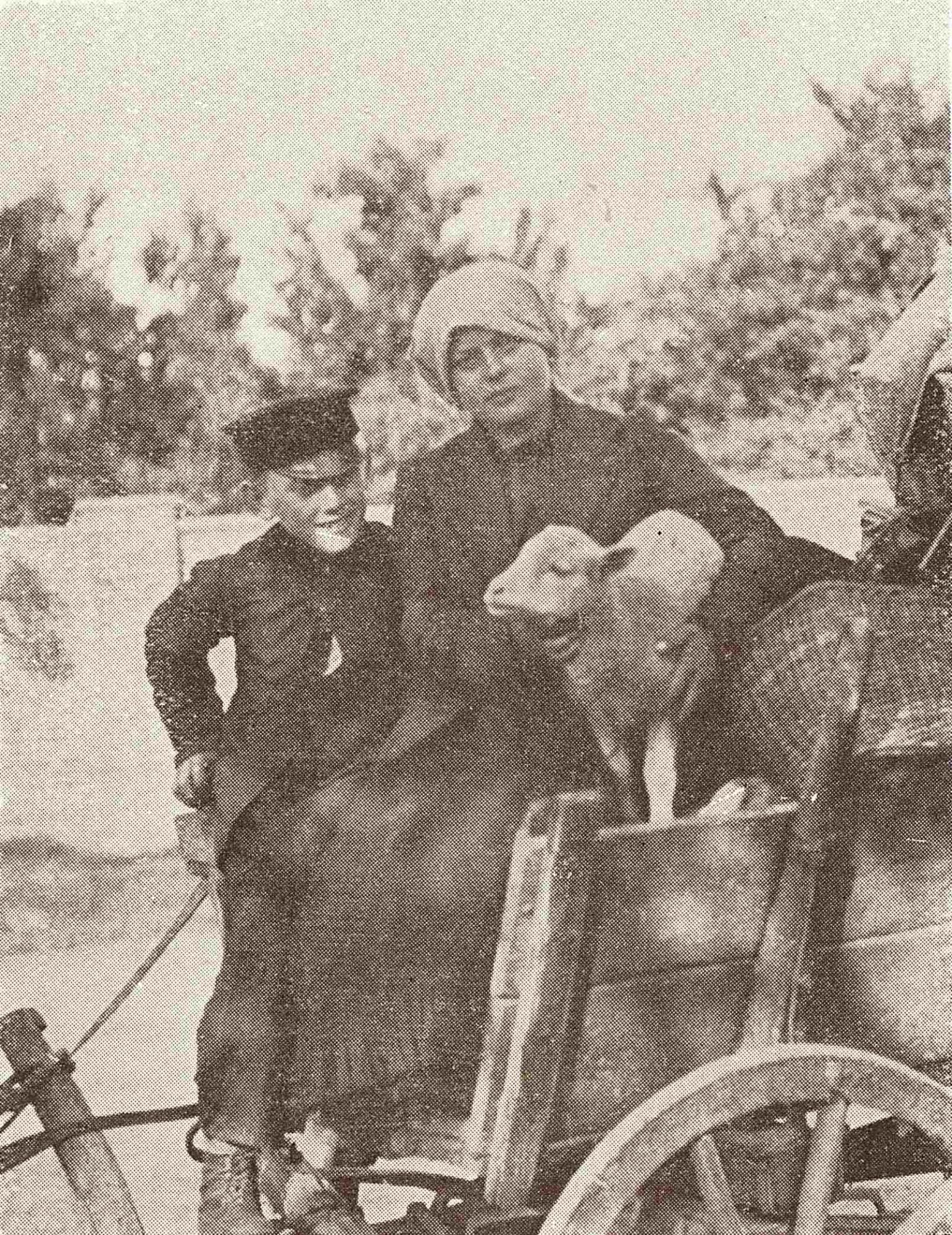 Une jeune paysanne polonaise a voulu sauver un agneau