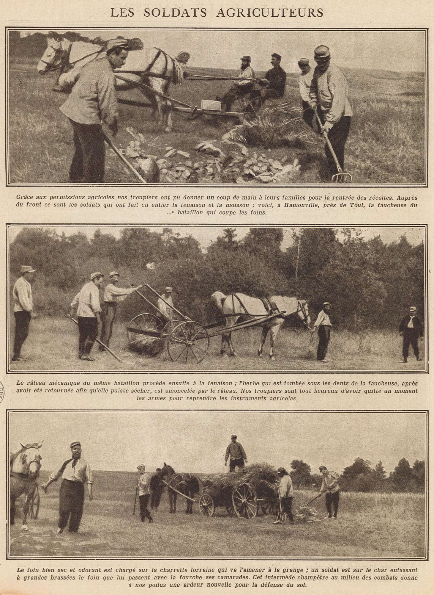 Les soldats agriculteurs