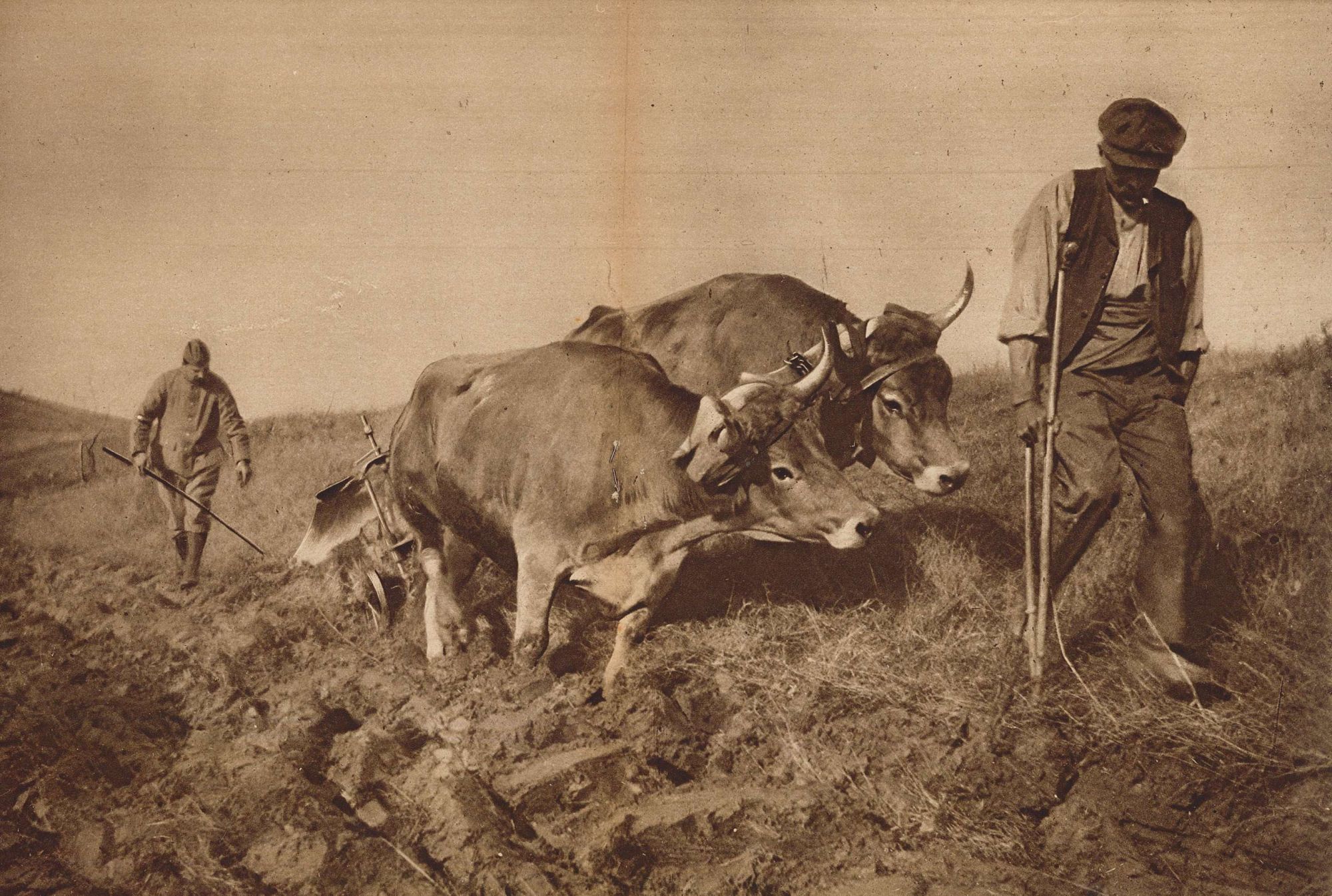 Le premier retour à la terre