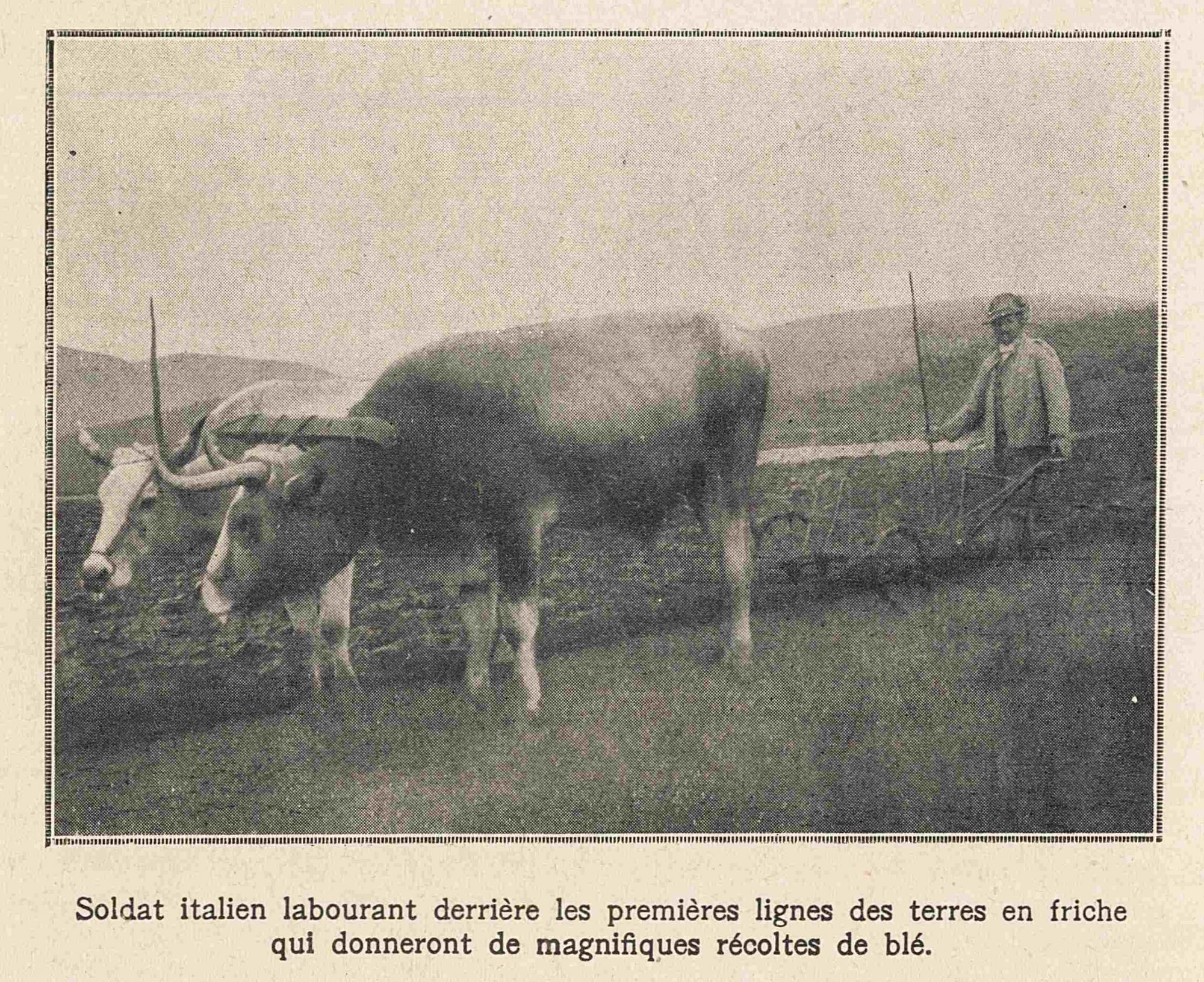 Soldat italien labourant derrière les premières lignes