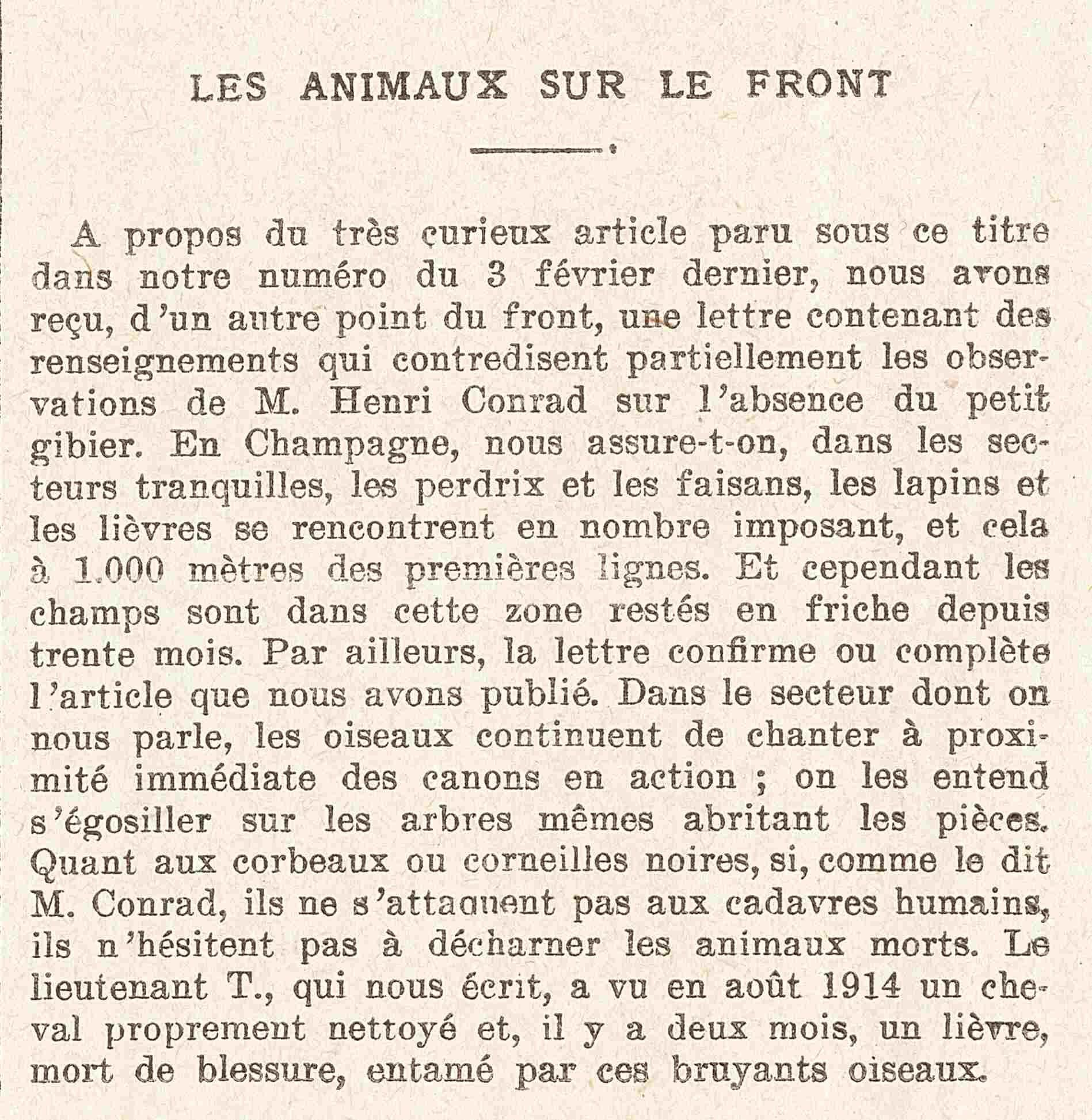 Les animaux sur le front