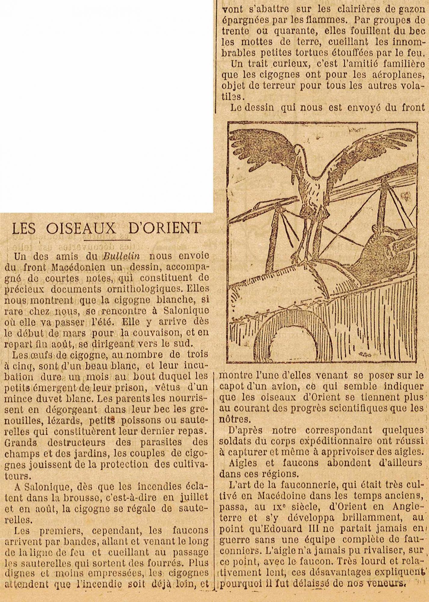 Les oiseaux d'Orient