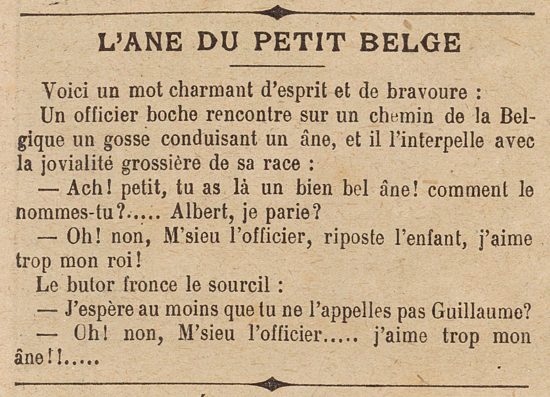 L'âne du petit belge