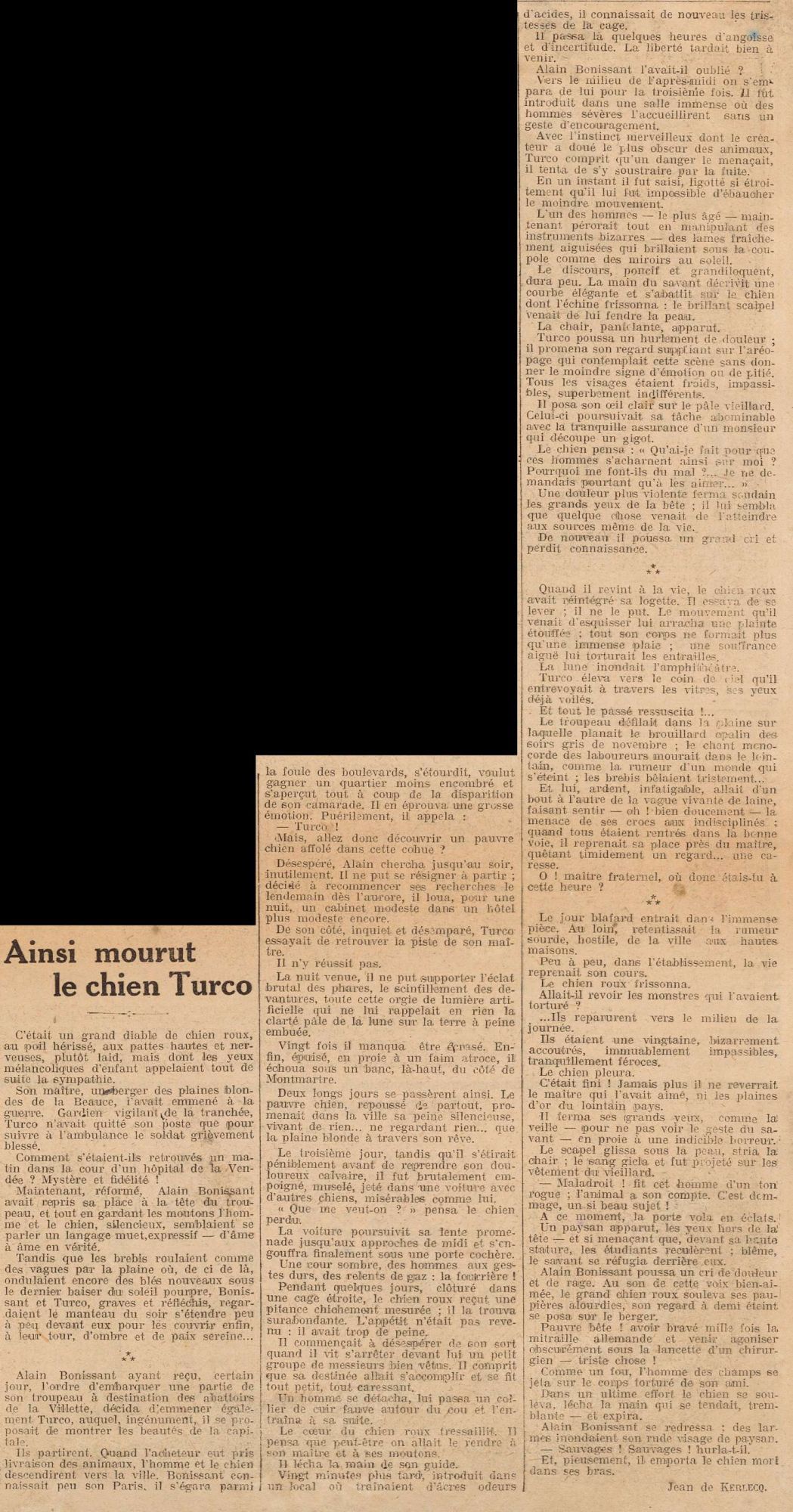 Ainsi mourut le chien Turco