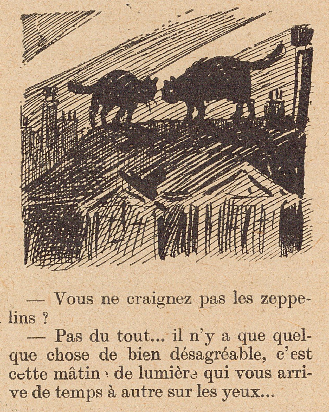 Des zeppelins et des chats