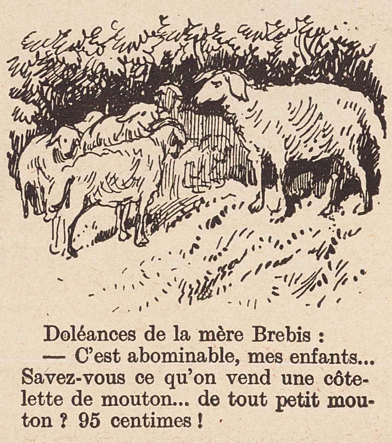 Doléances de la mère brebis