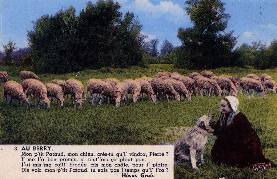 67. Louis Bedu et Pataud : l'artilleur et le chien