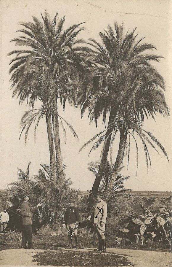 70. Victor Mathieu : vétérinaire et député